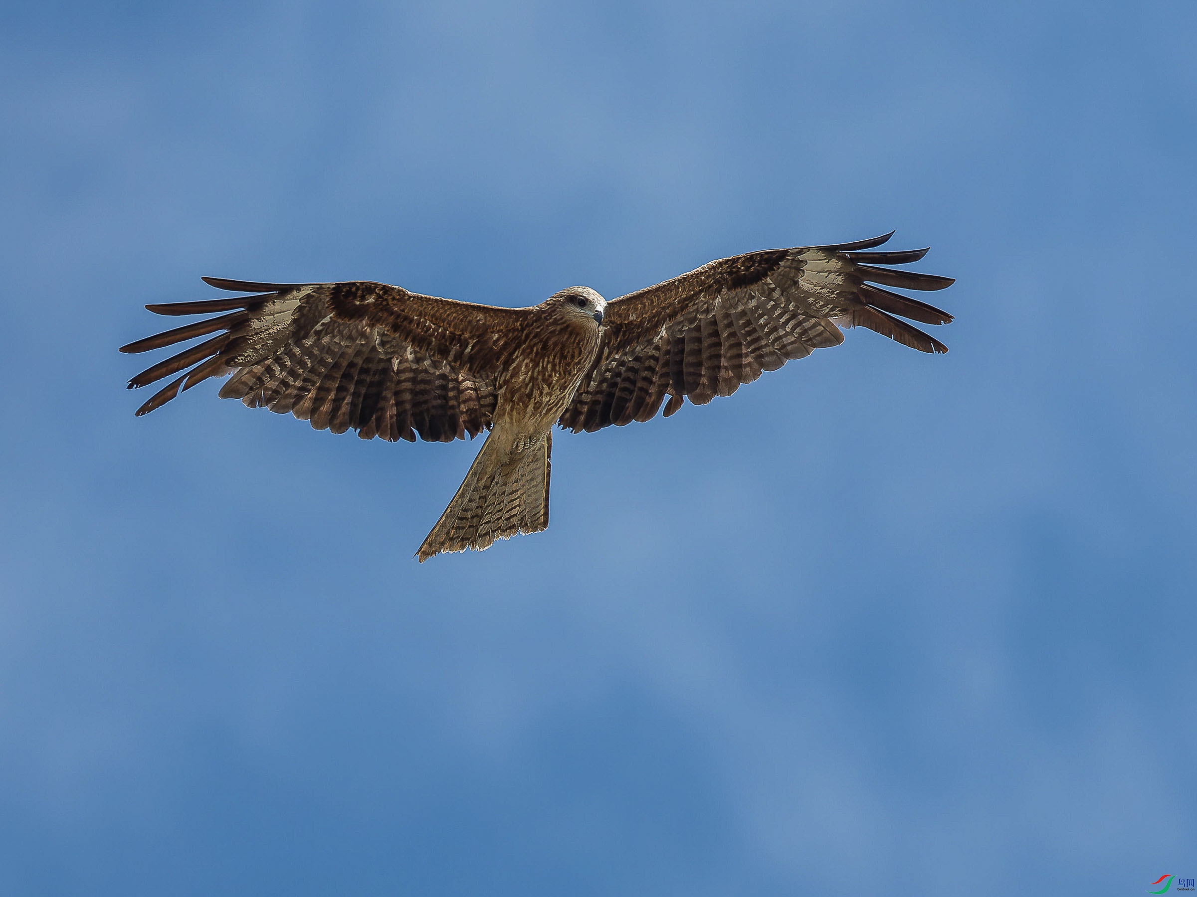 P5290185-ORF_DxO_DeepPRIMEXD ���� 2.jpg