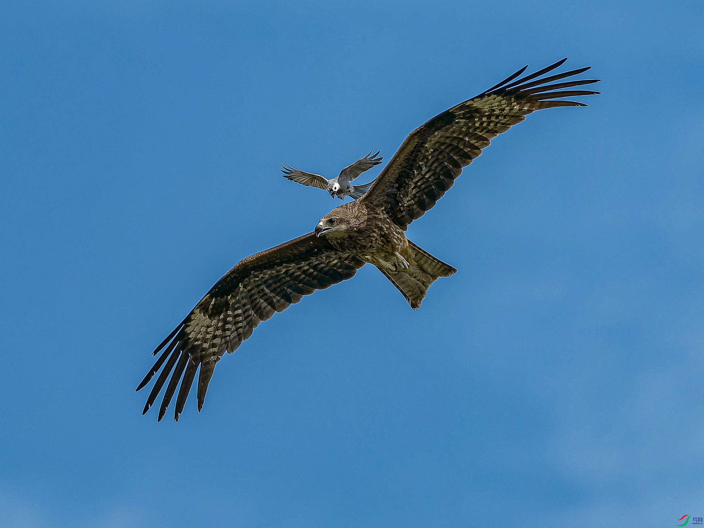 P5291434-ORF_DxO_DeepPRIMEXD ���� 2.jpg