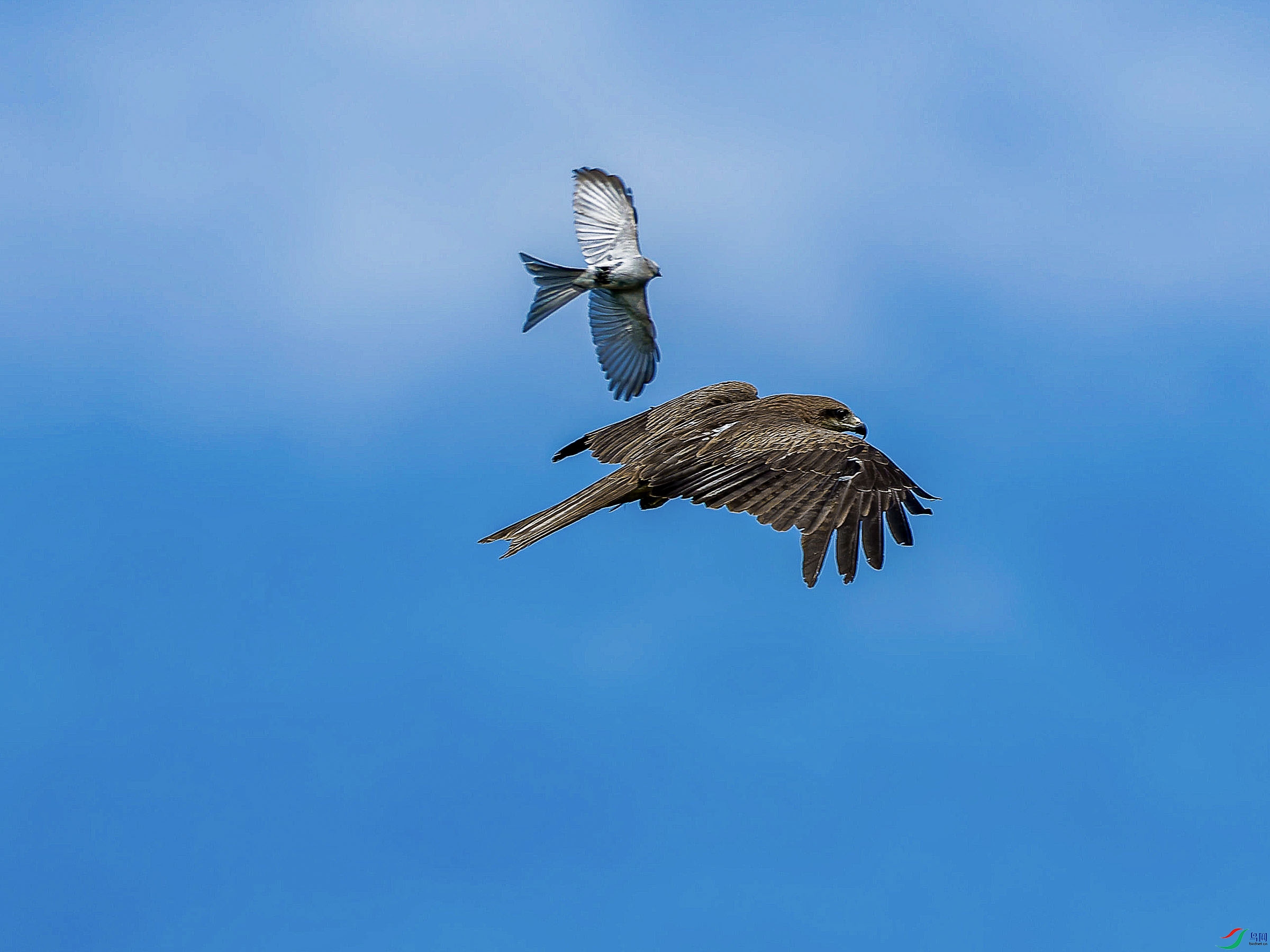 P5291454-ORF_DxO_DeepPRIMEXD ���� 2.jpg