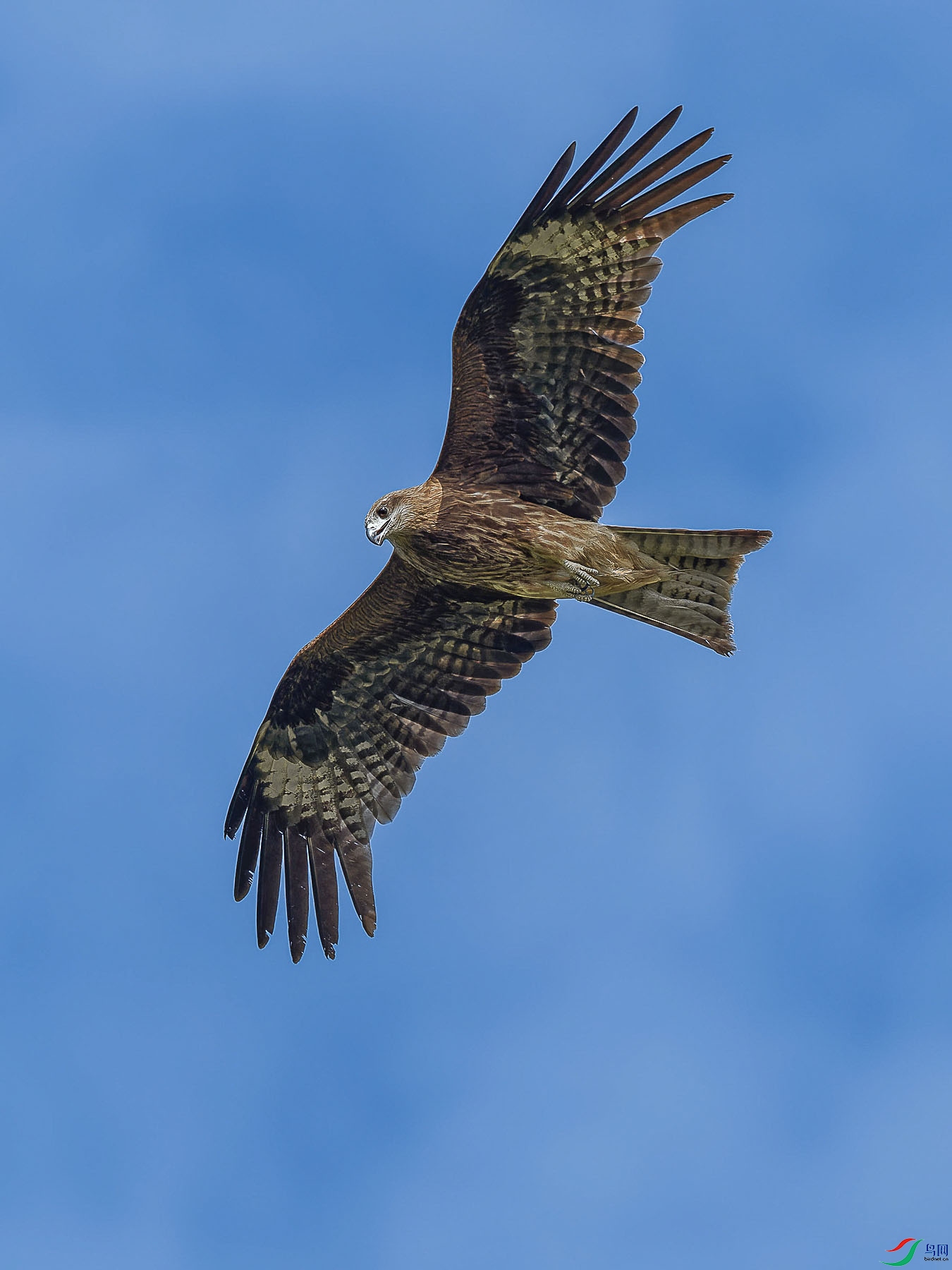 P5291670-ORF_DxO_DeepPRIMEXD ���� 2.jpg