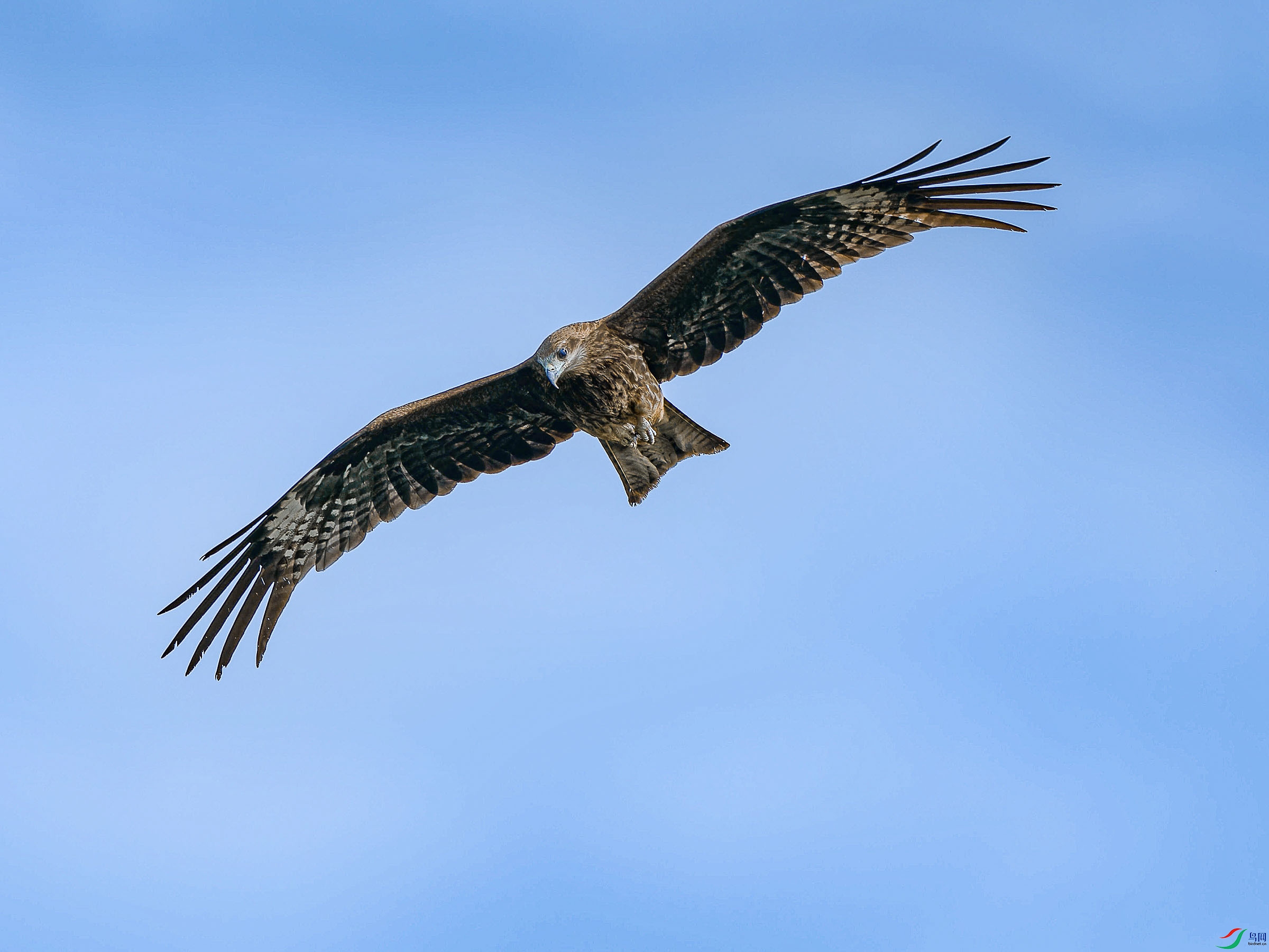 P5291620-ORF_DxO_DeepPRIMEXD ���� 2.jpg