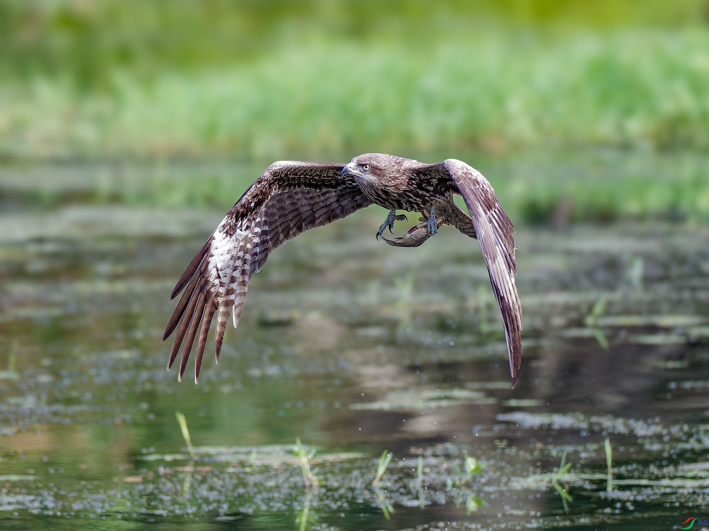 P5291774-ORF_DxO_DeepPRIMEXD ���� 2.jpg