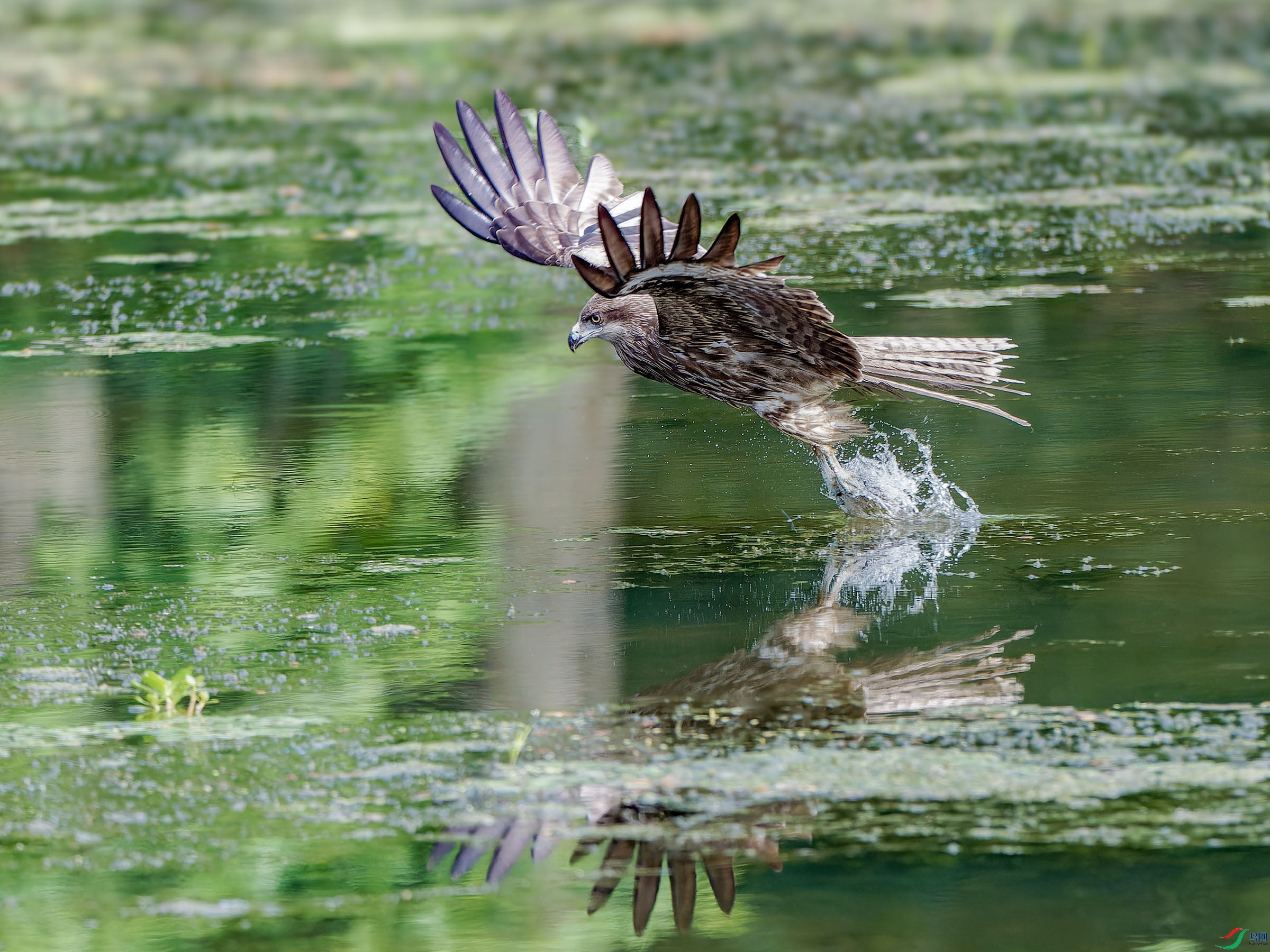 P5291912-ORF_DxO_DeepPRIMEXD ���� 2.jpg