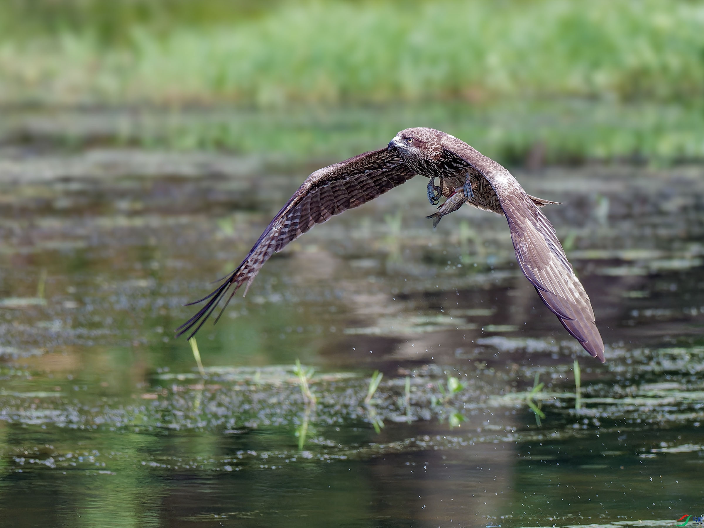 P5291773-ORF_DxO_DeepPRIMEXD ���� 2.jpg