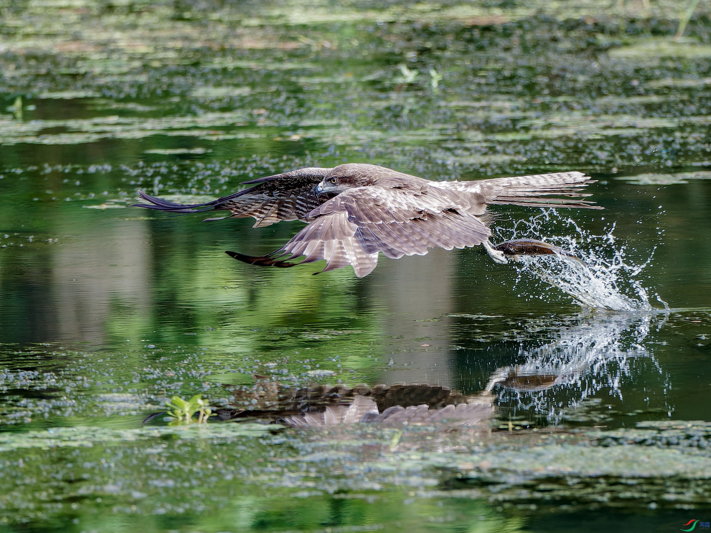 P5291913-ORF_DxO_DeepPRIMEXD ���� 2.jpg