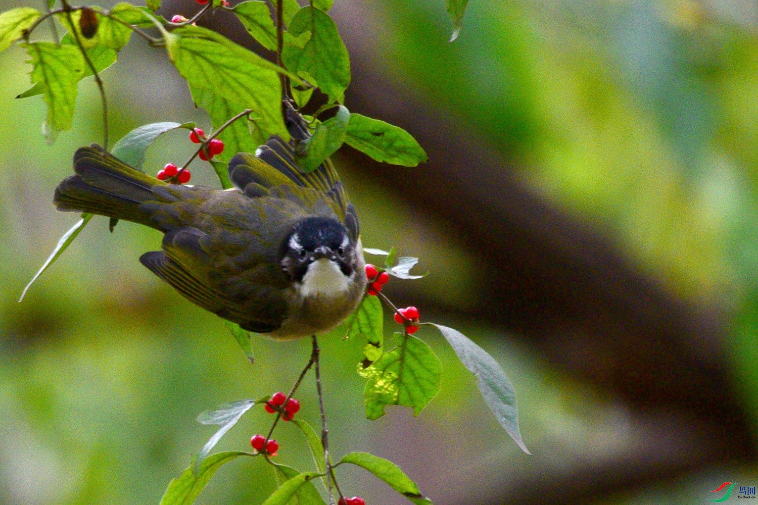 DSC_6102.JPG