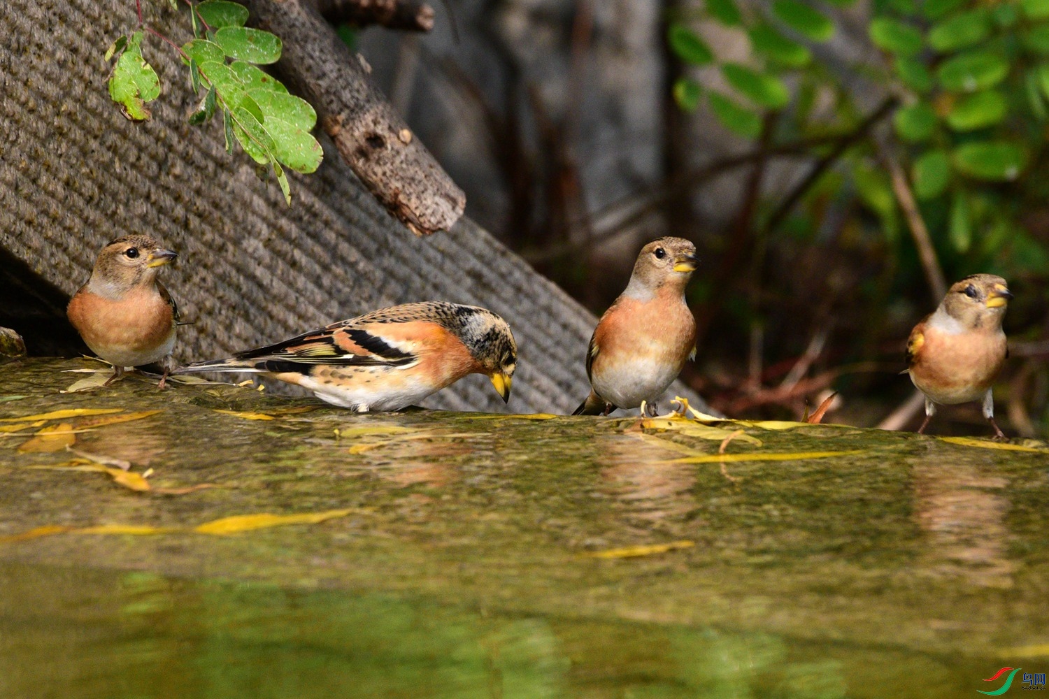 DSC_6420.JPG