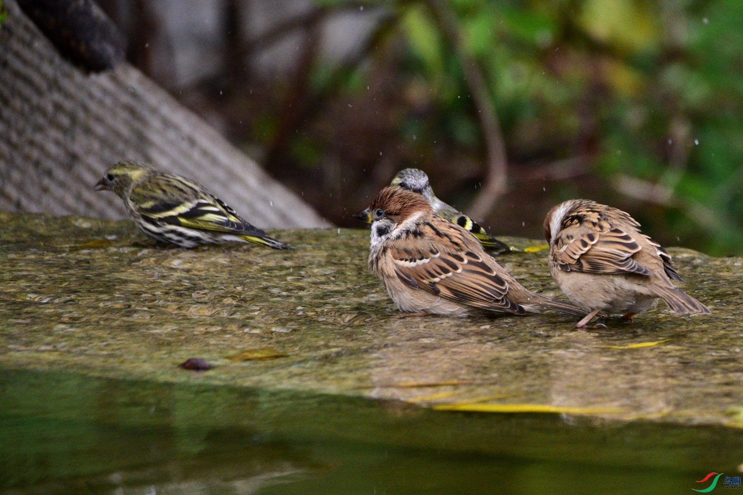 DSC_6742.JPG