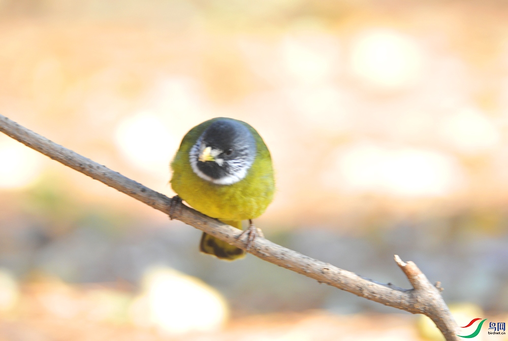 DSC_0965.JPG