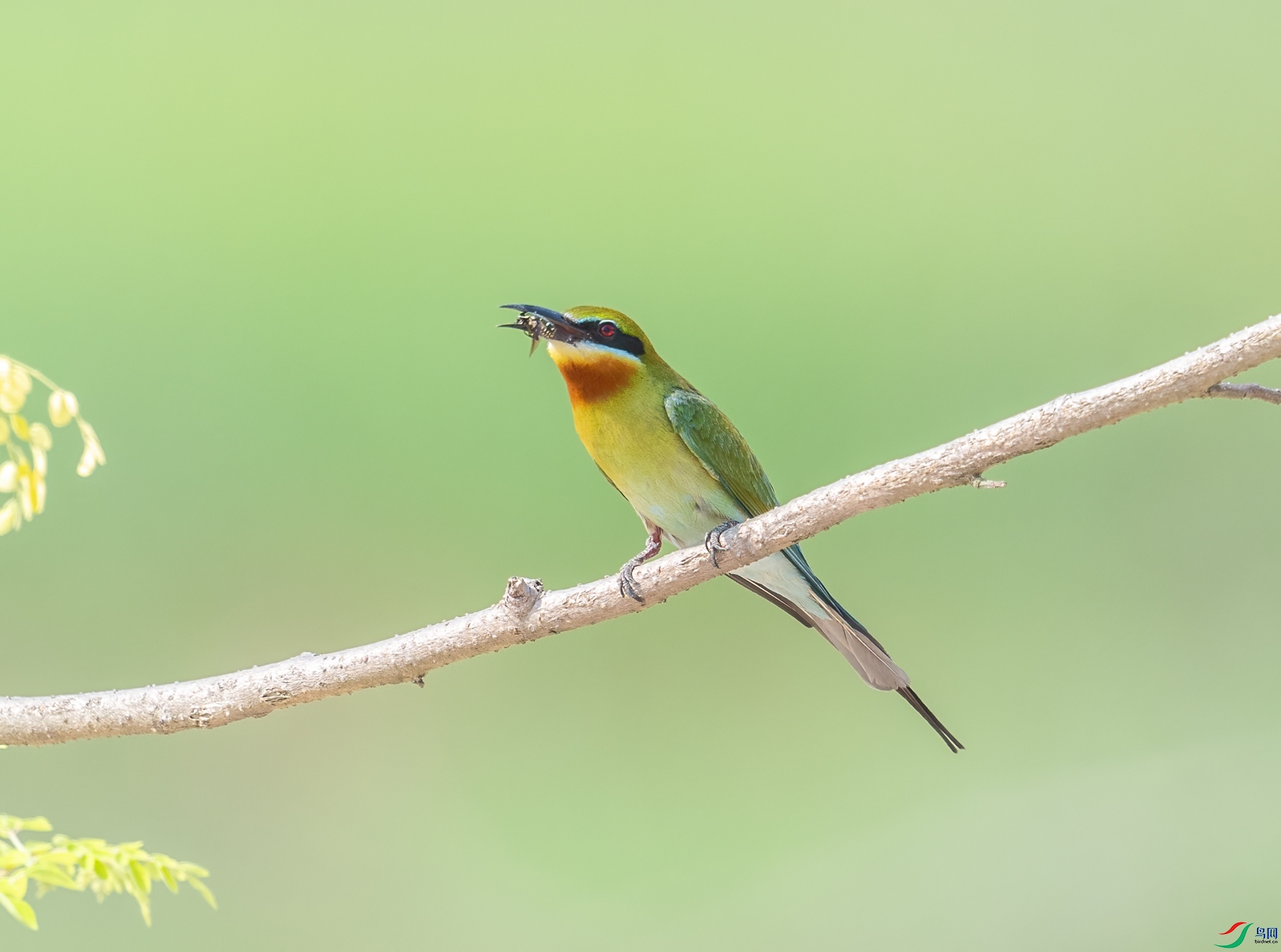 DSC_8101-1.jpg