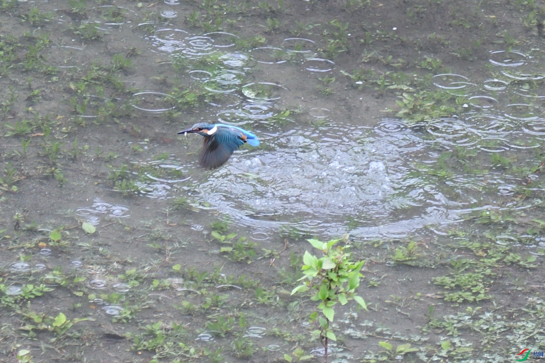 DSC_5539_00002.jpg