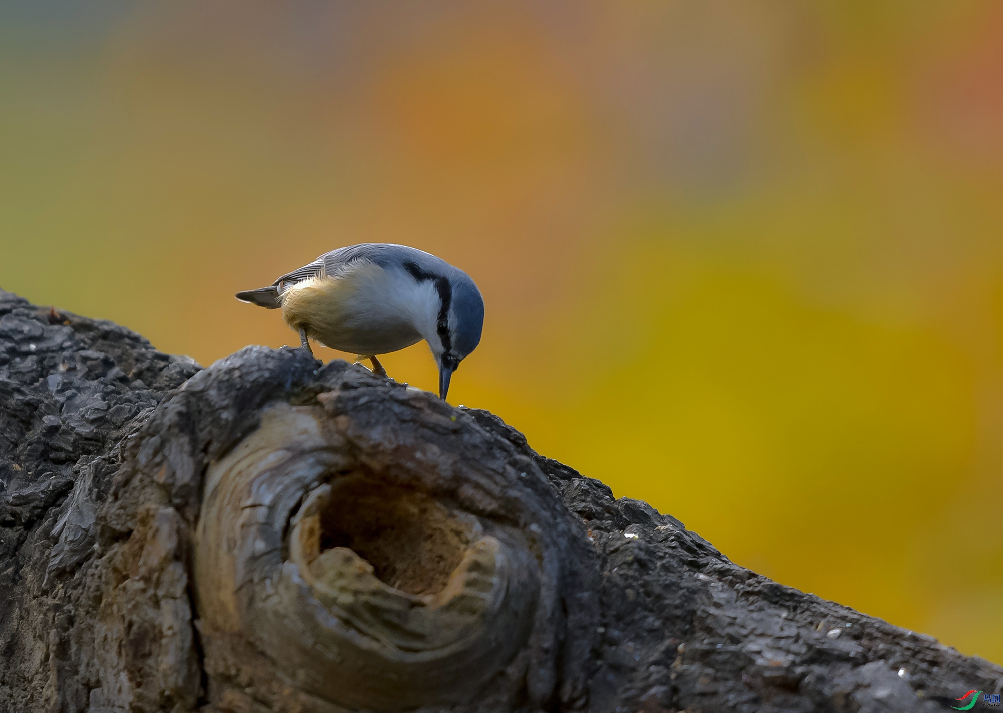 DSC_3221.JPG