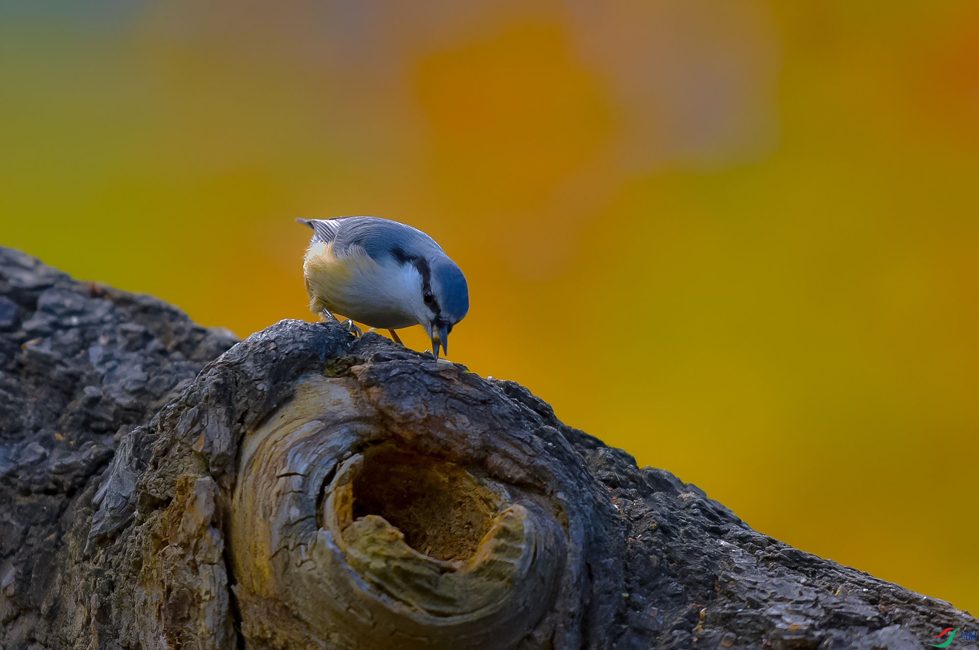 DSC_3244.JPG