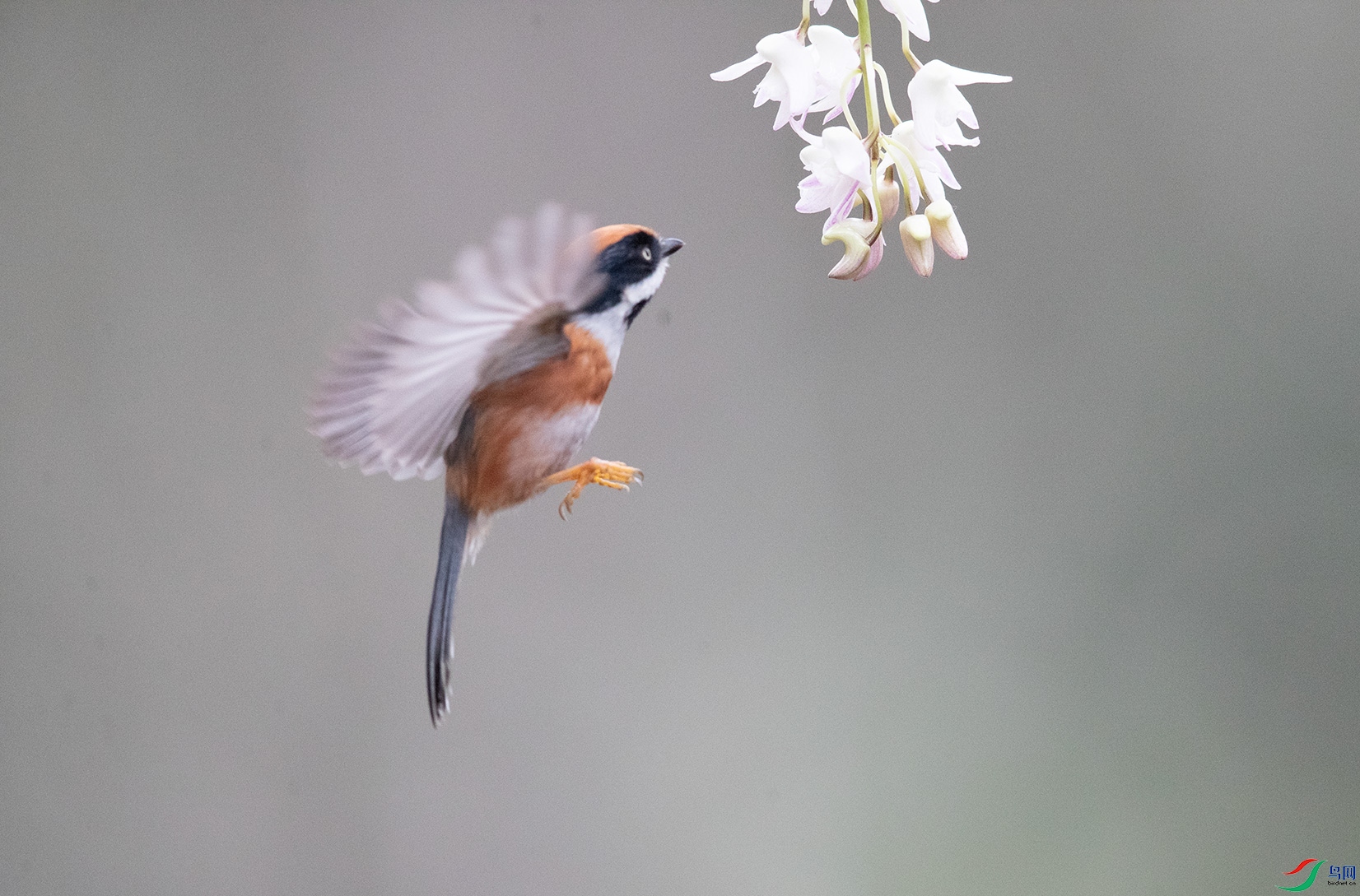 _W9I1185.jpg