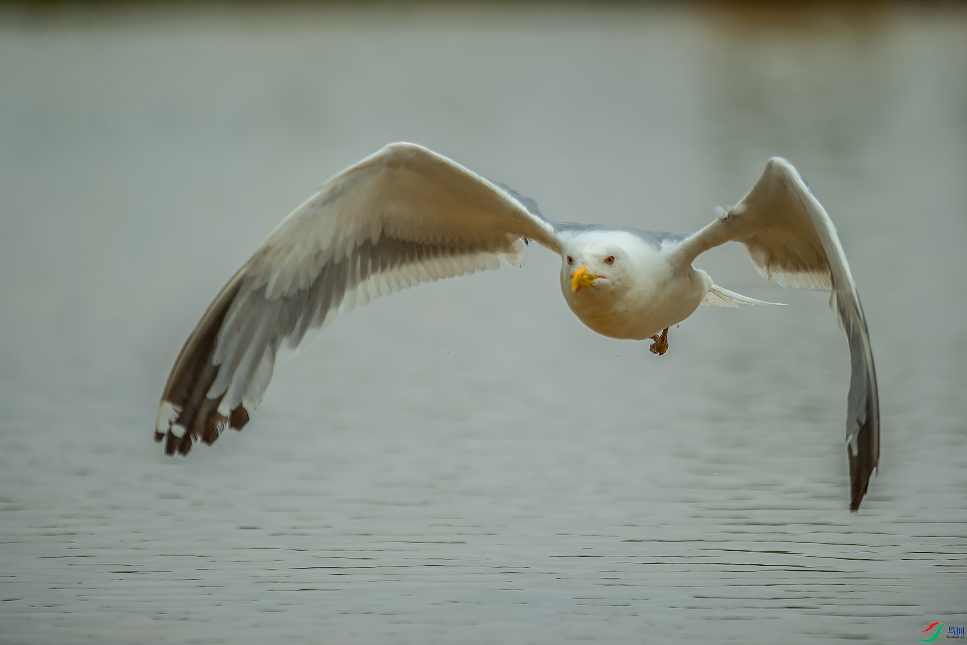 DSC_0472.jpg