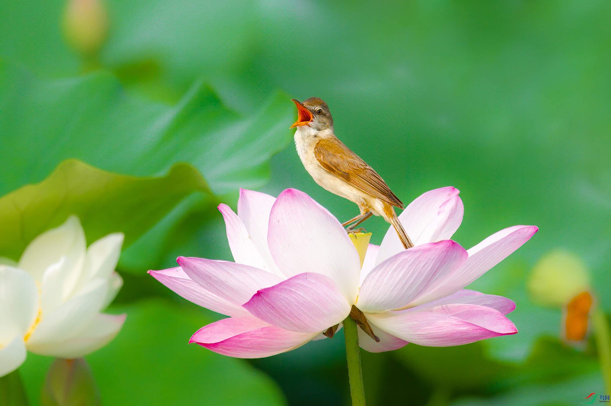 sen2016 7-10-46-�༭-4.jpg