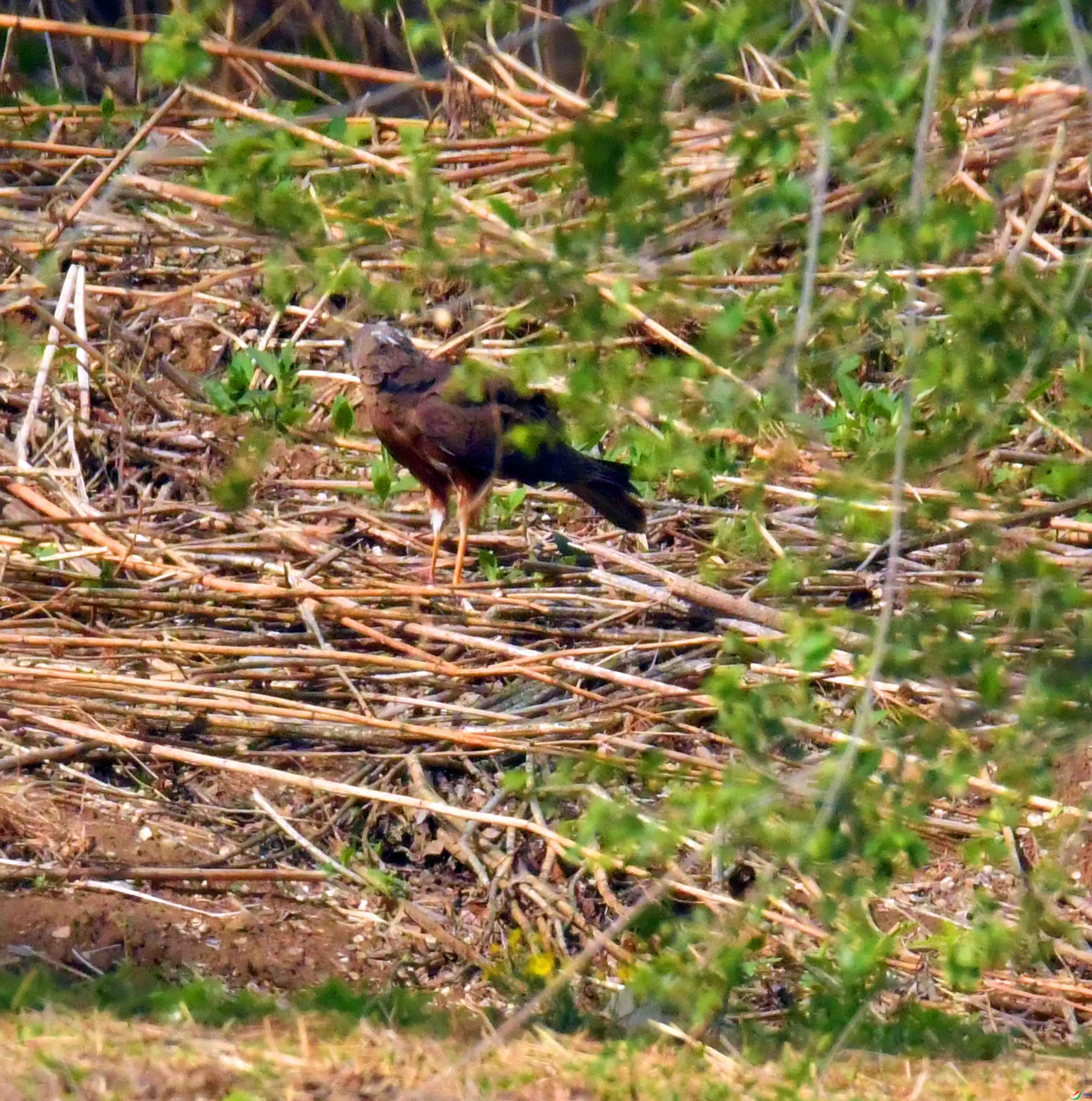 DSC_3944.JPG