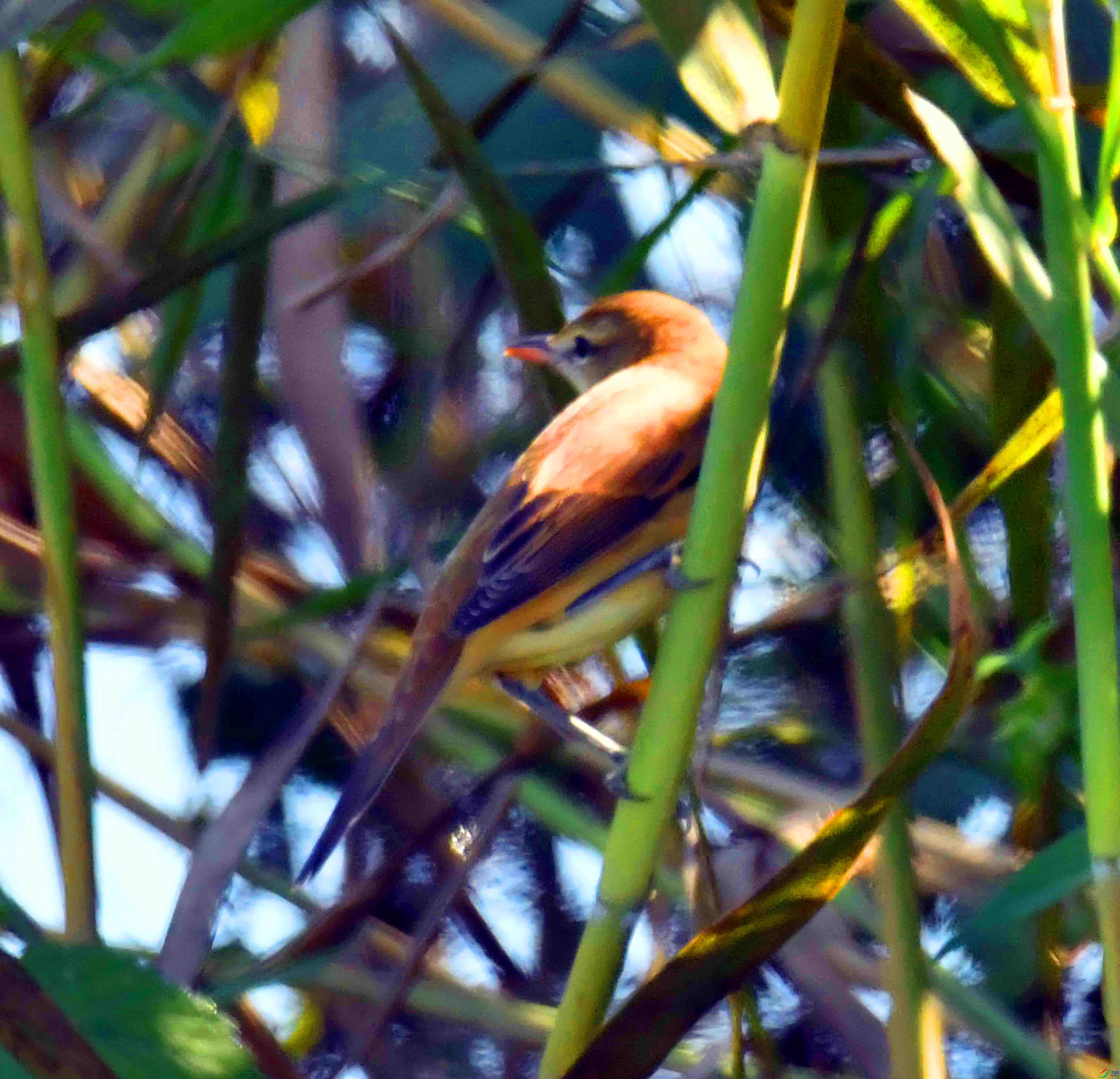 DSC_6969.JPG