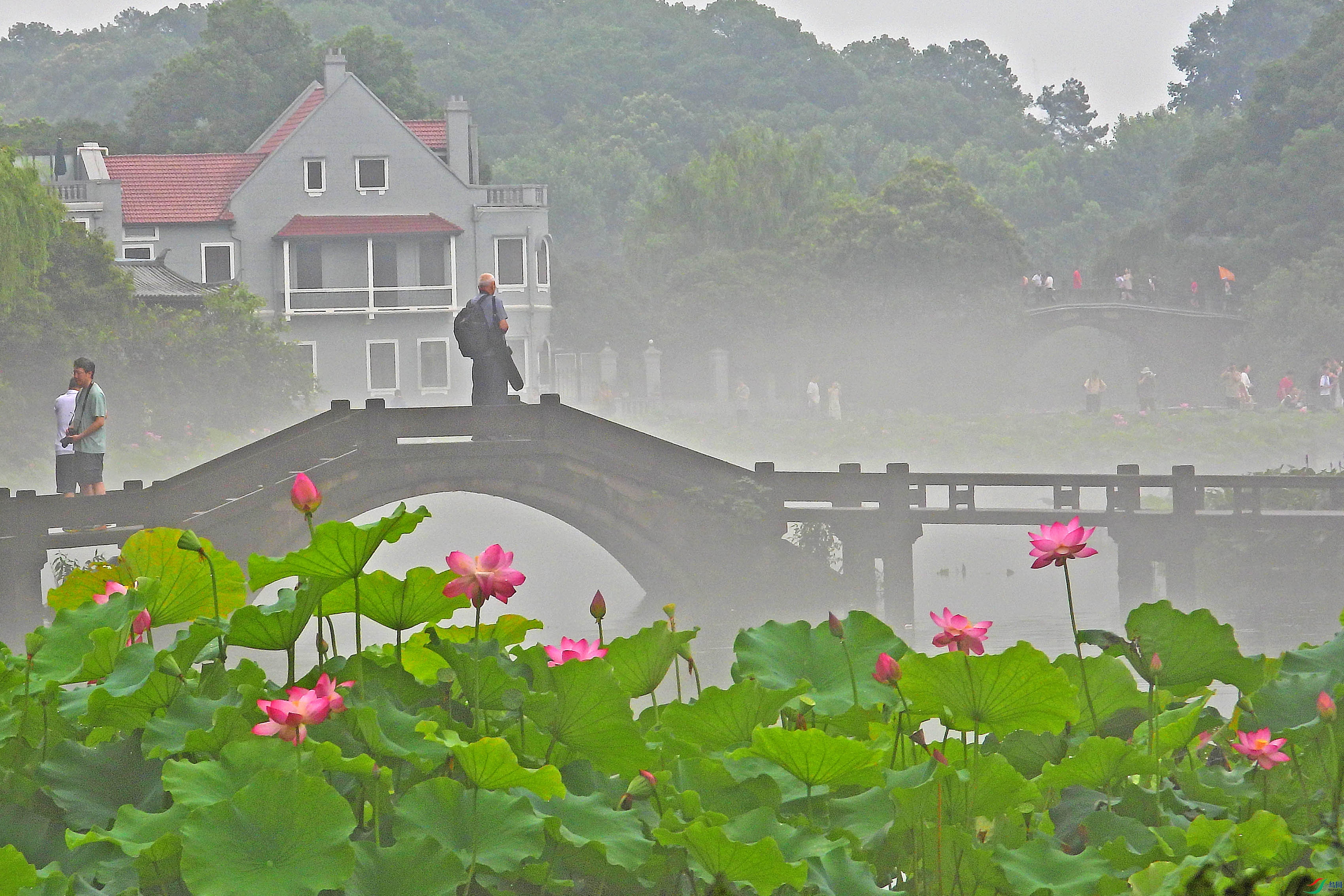 DSCN3452.JPG