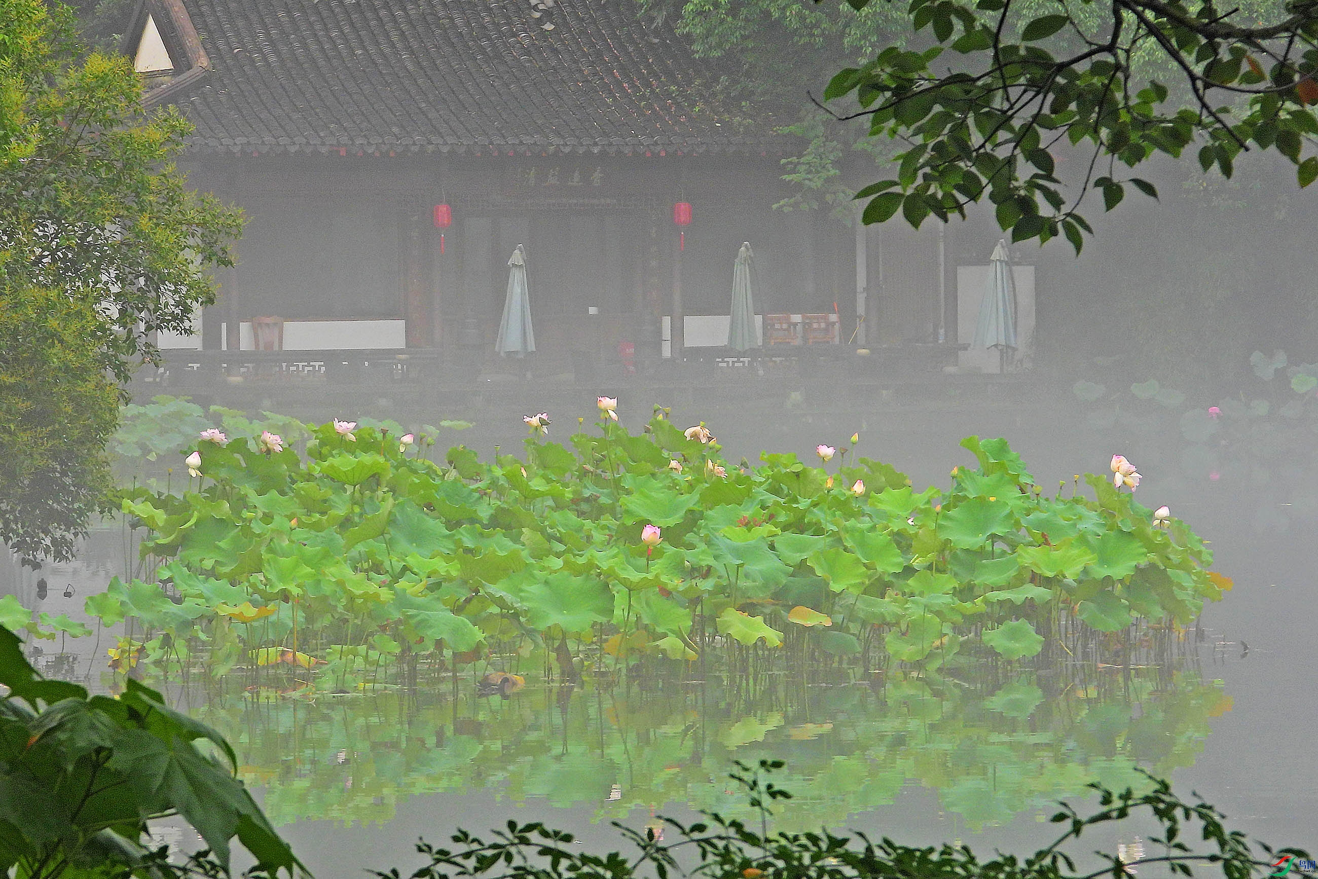 DSCN3469.JPG