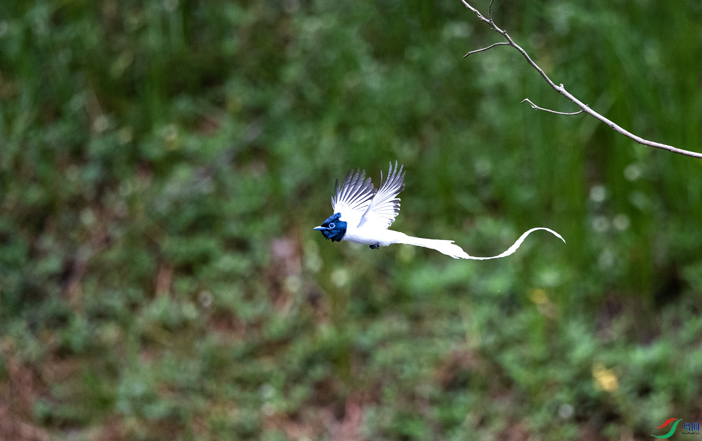 _DSC5232.jpg