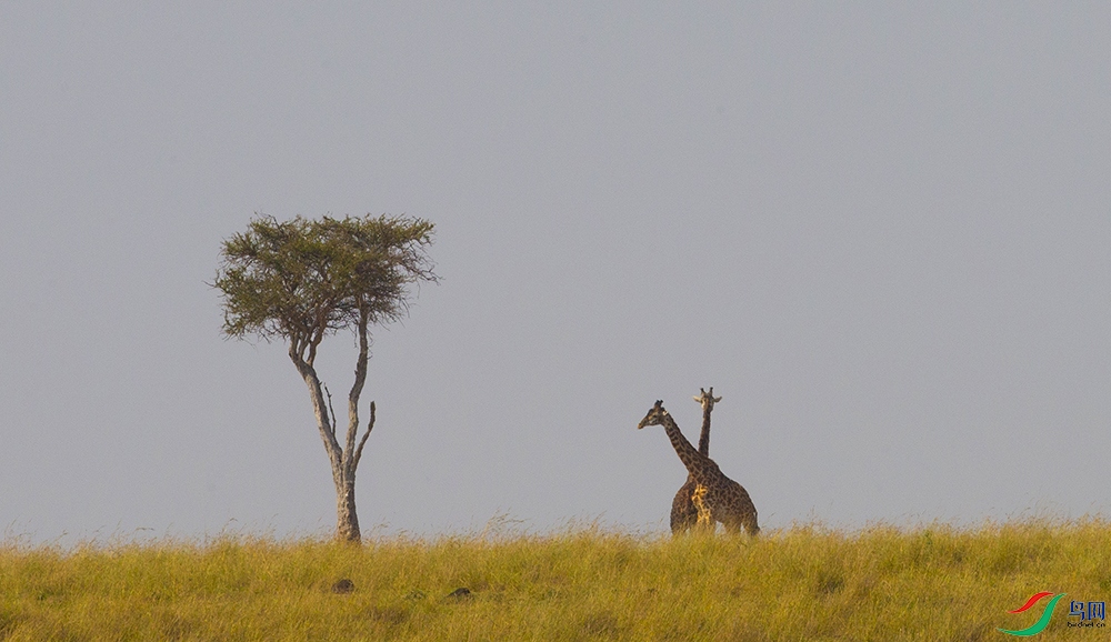 ����¹ (3).jpg