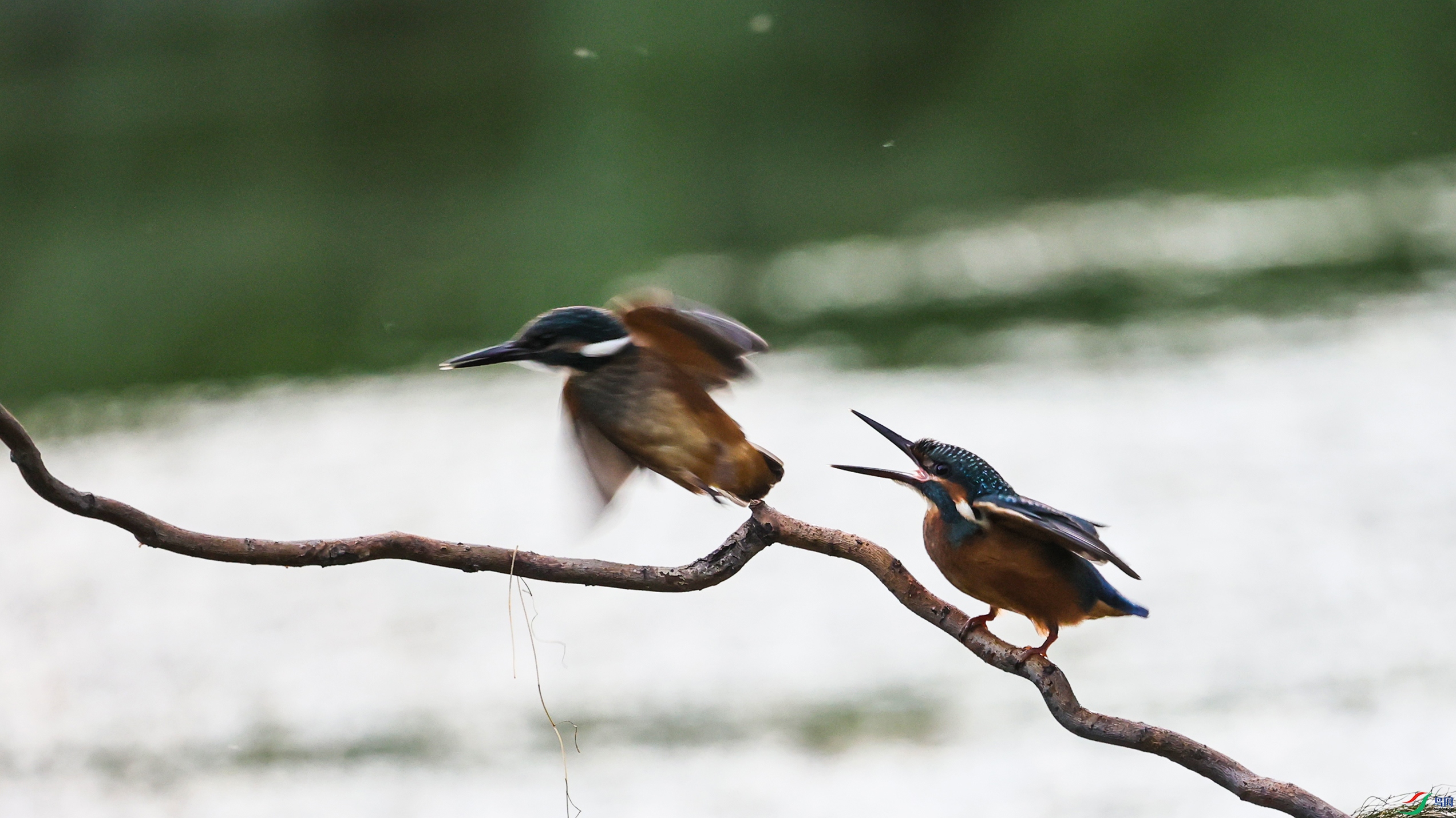 381A2435 ����555.jpg