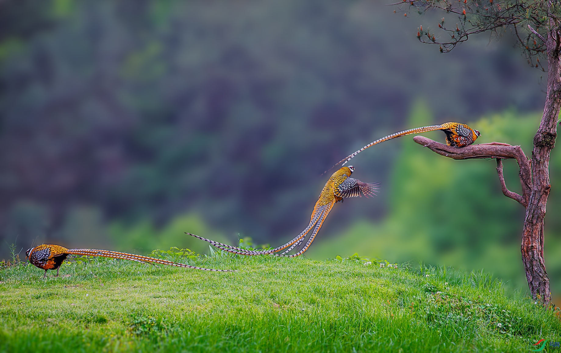 6461- ���� 3.jpg