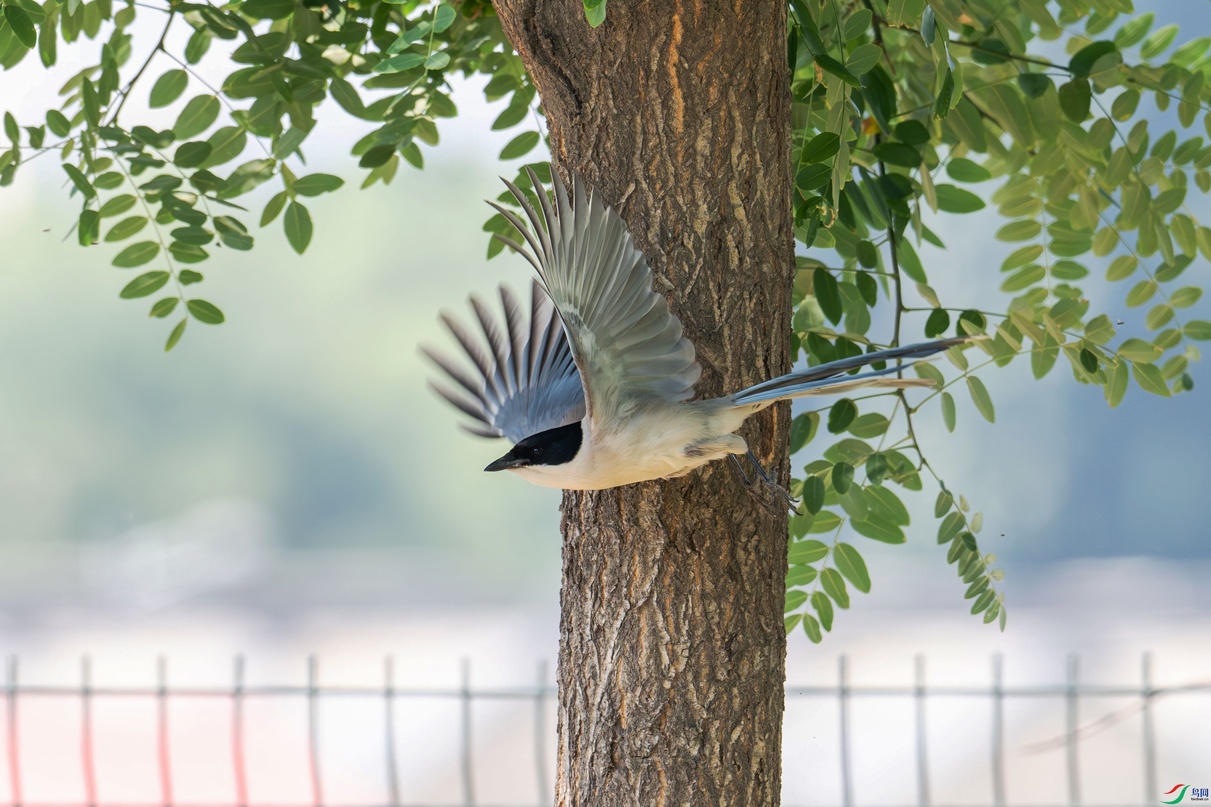 DSC_8852.jpg