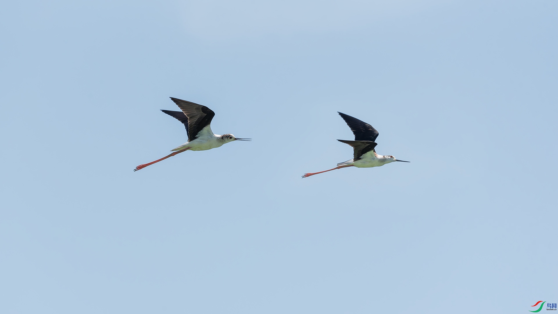 DSC_1279.jpg