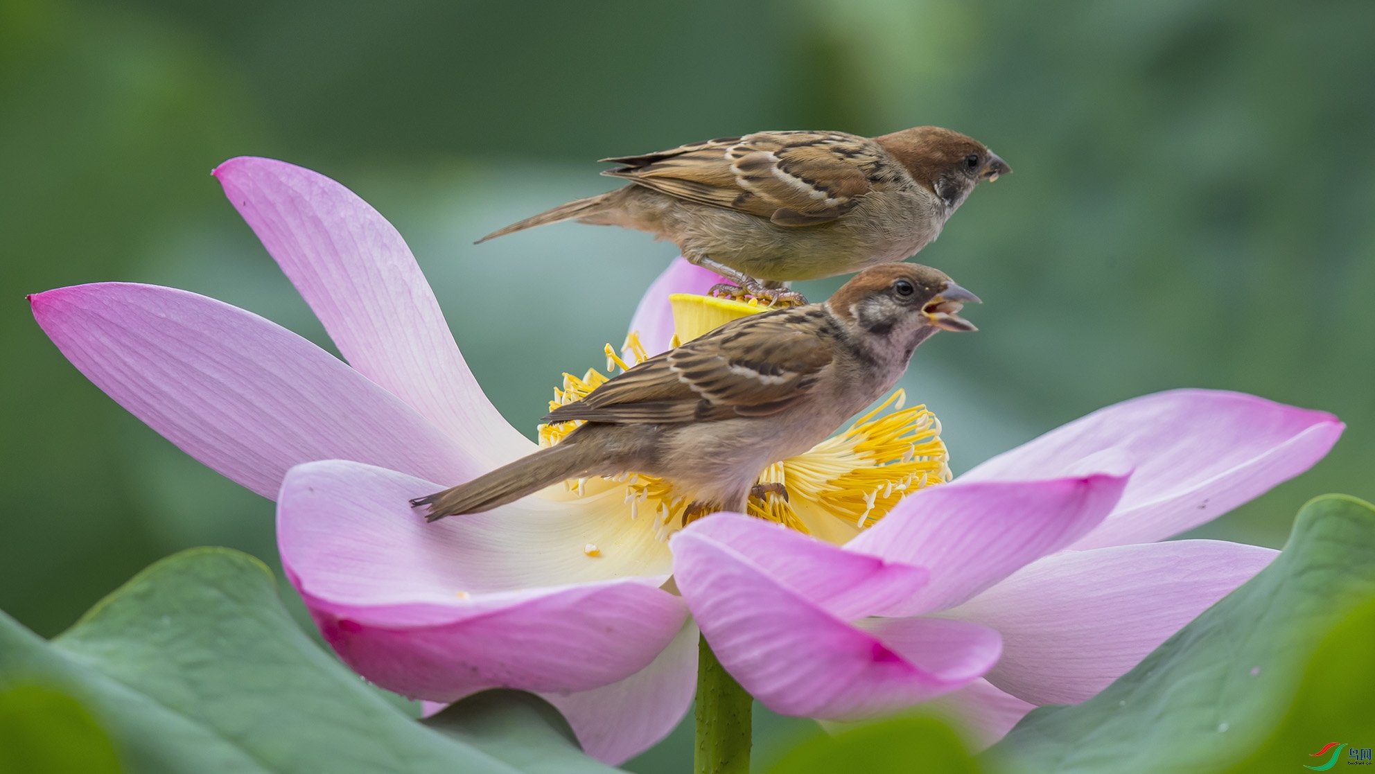 _90I2242 ����.jpg