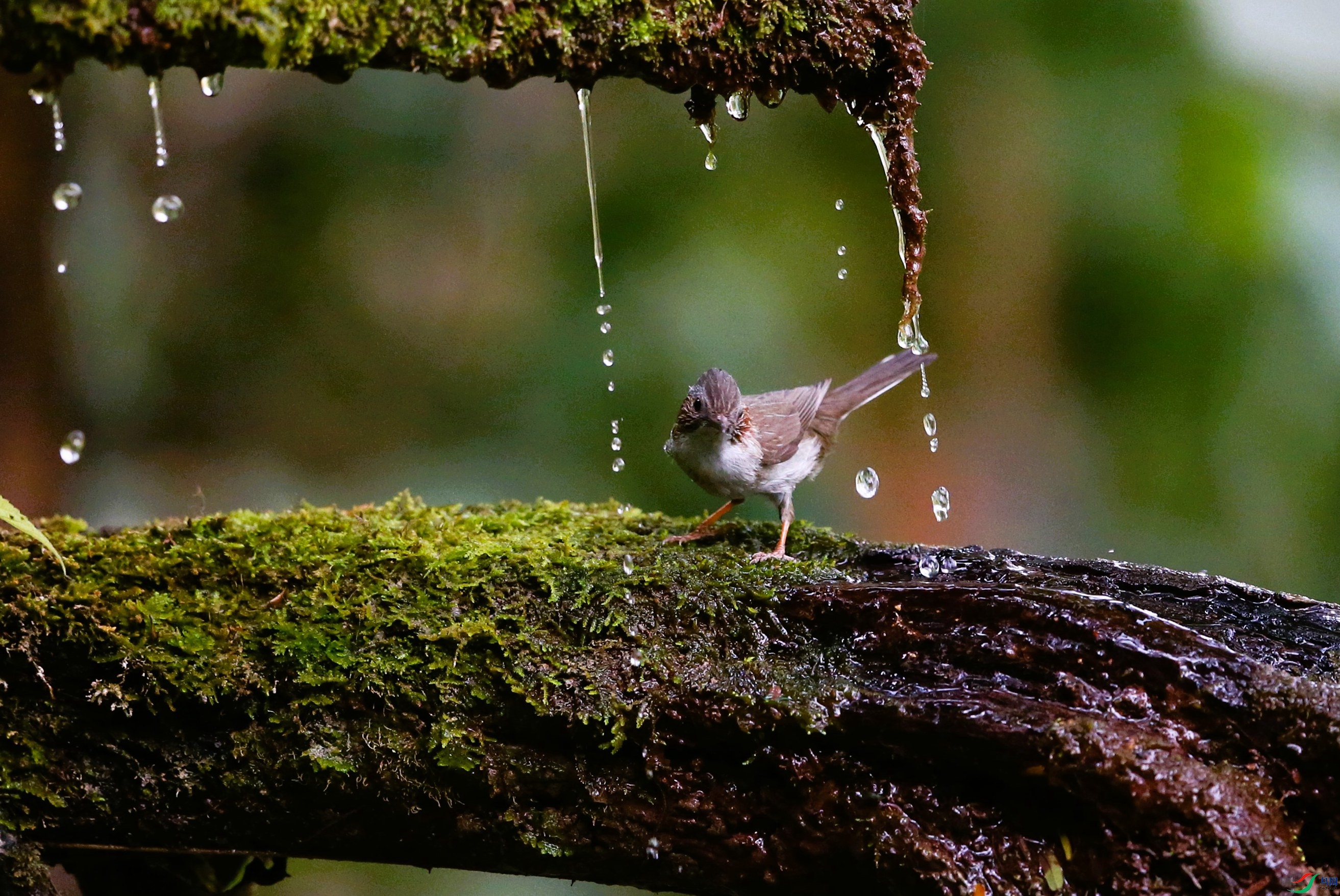 �������� (10).JPG