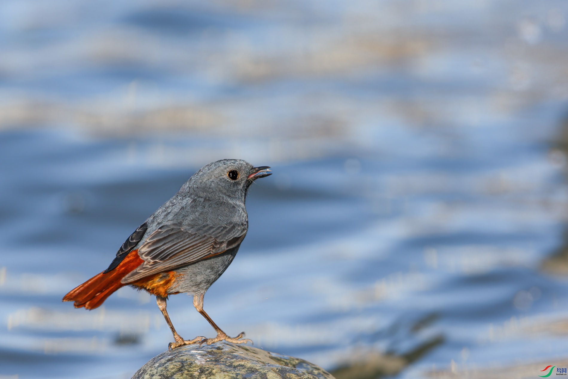 AQ4P0155-1.jpg
