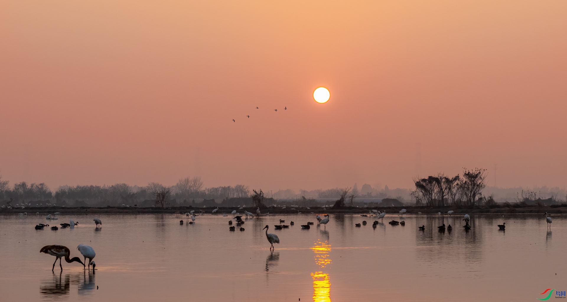 DSC_7153-1.jpg