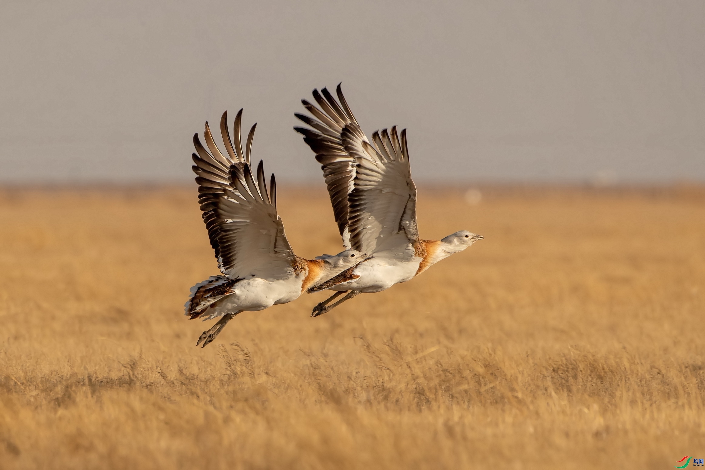 ÿ�ռ��� ��ɵĴ�� ���� �ܶ�.jpg