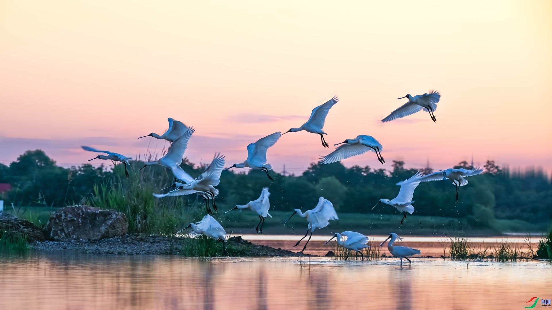 ÿ�ռ���  Ⱥ��  ���� ���� ����.jpg