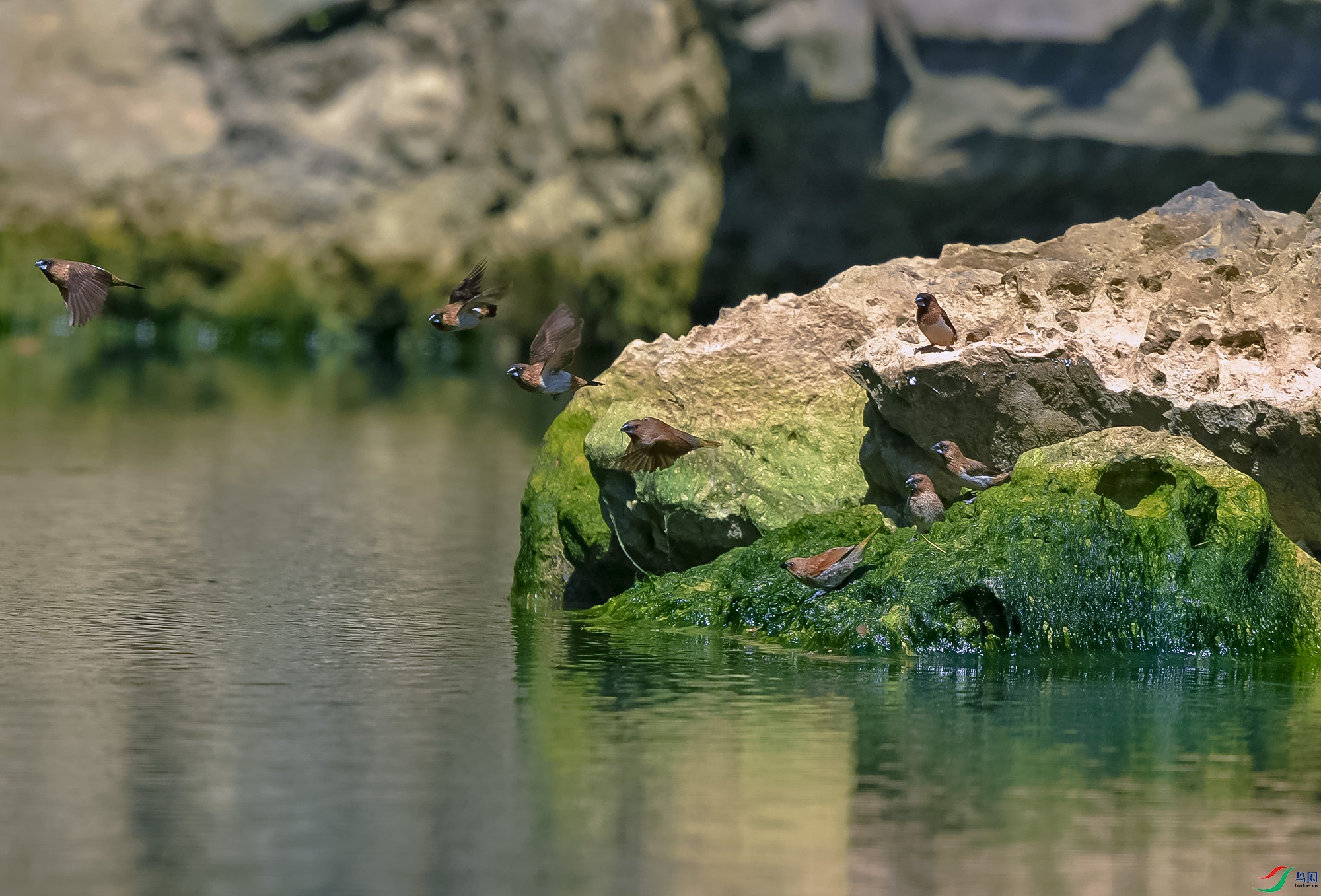 DSC_4967.JPG