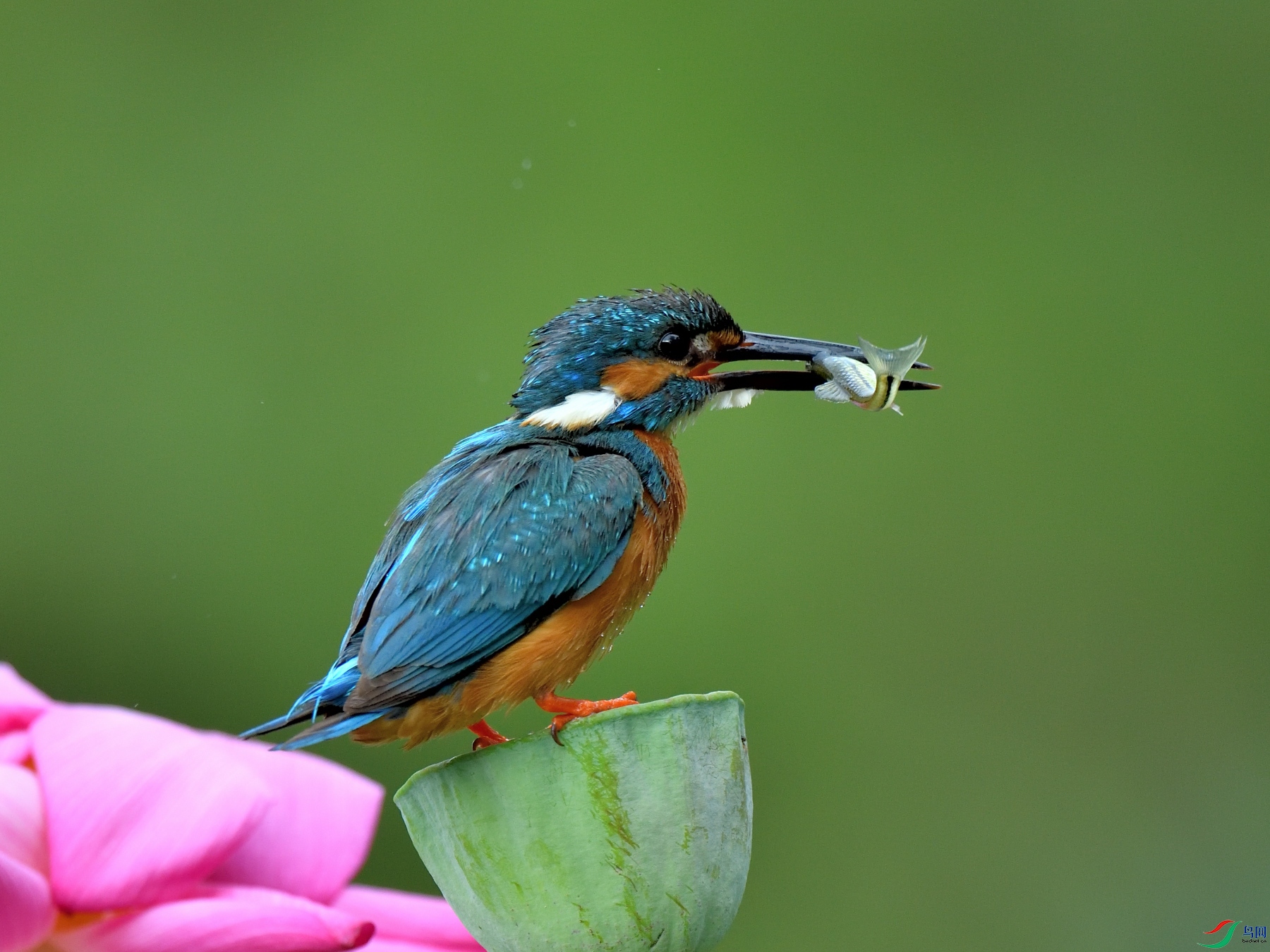 DSC_3126.JPG