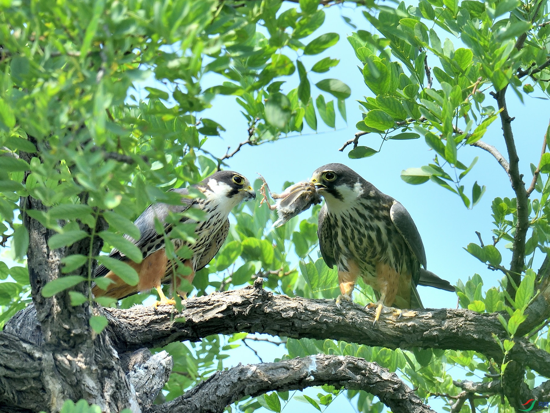DSC_3732.JPG