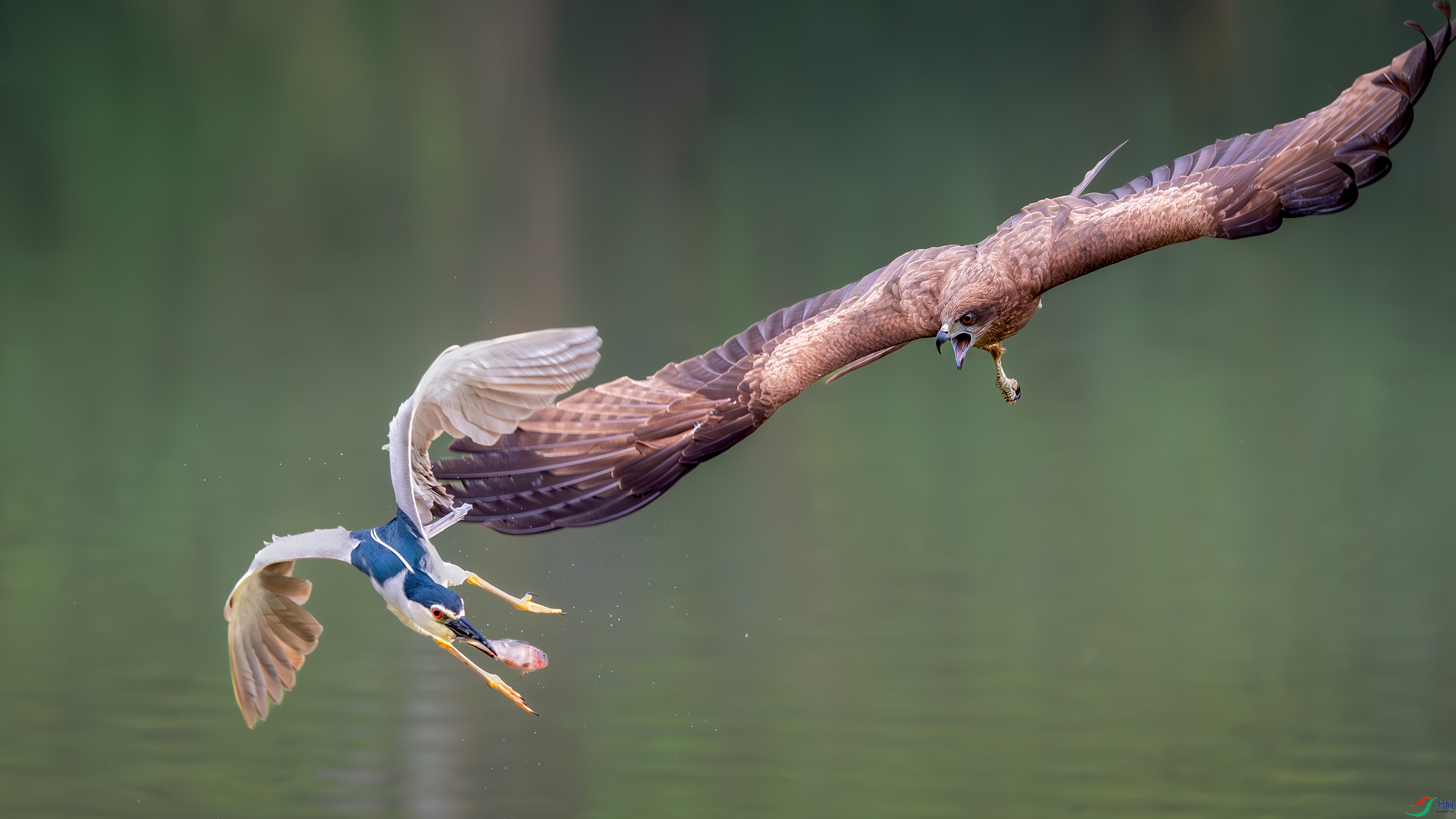 DSC_2425-����ǿ-NR ���� 2.jpg