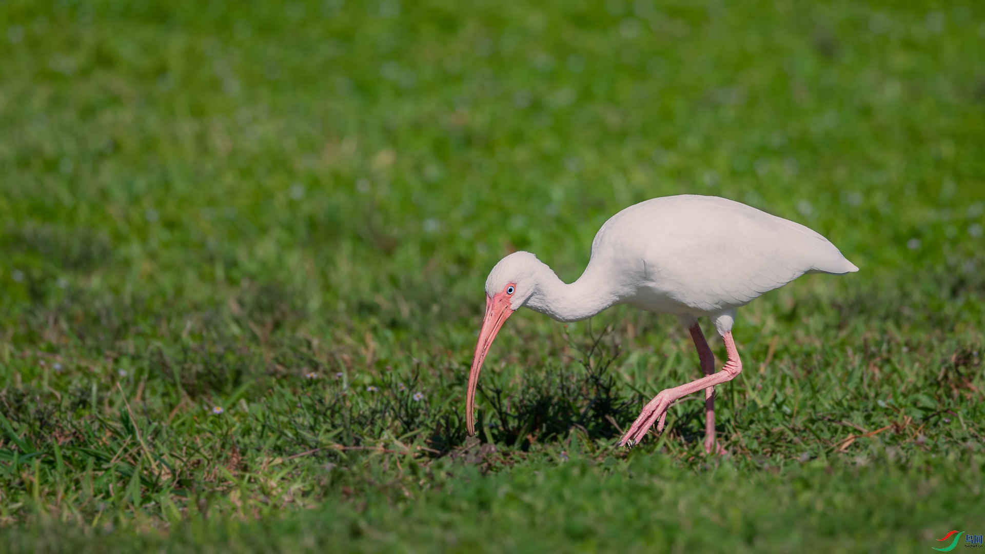 DSC_7245-����ǿ-NR_1.jpg