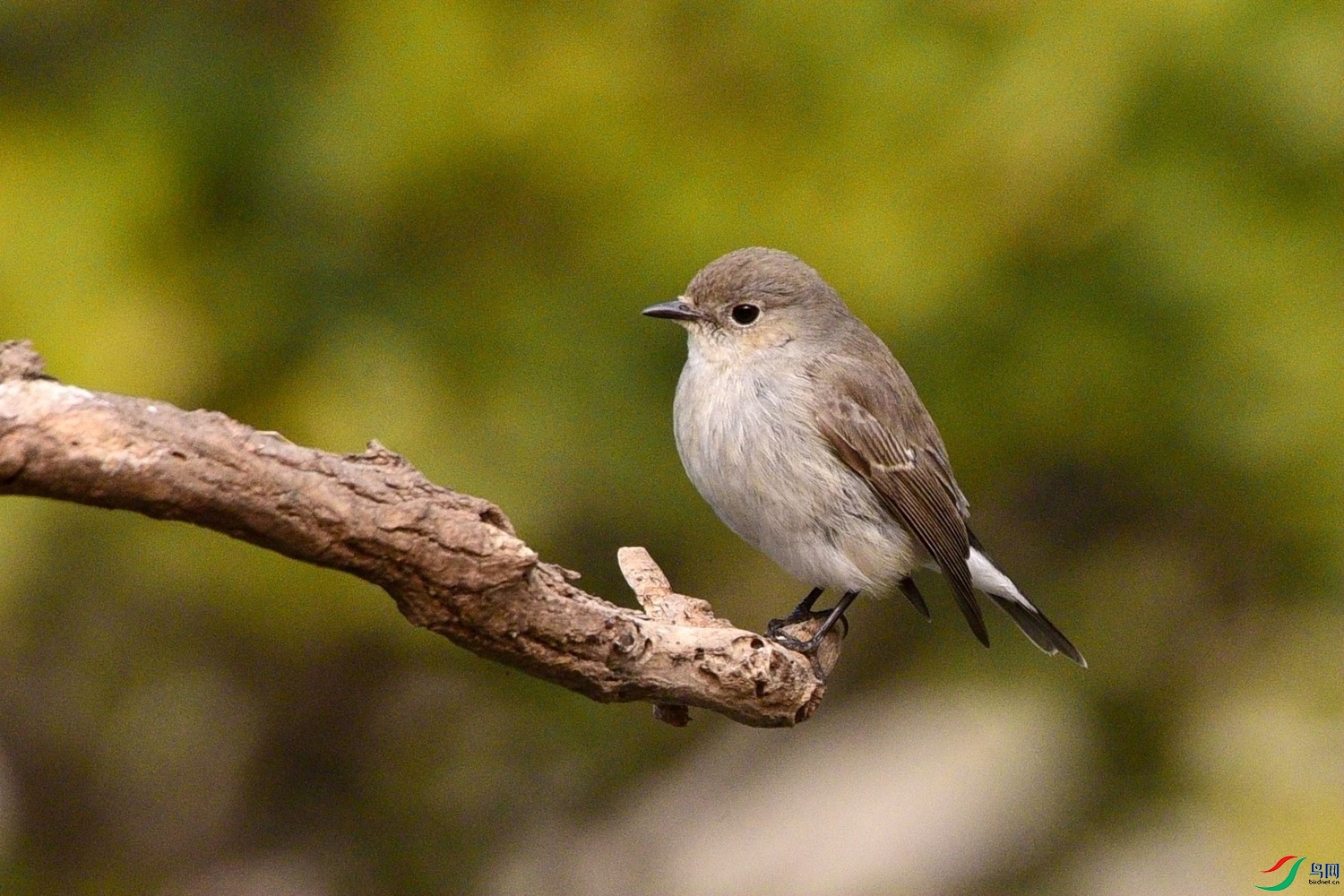 DSC_2651.JPG