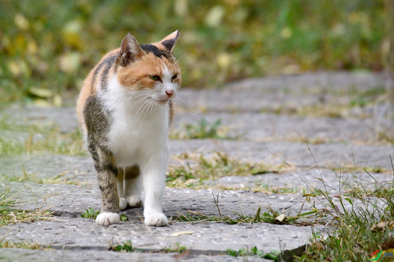 DSC_6047.JPG