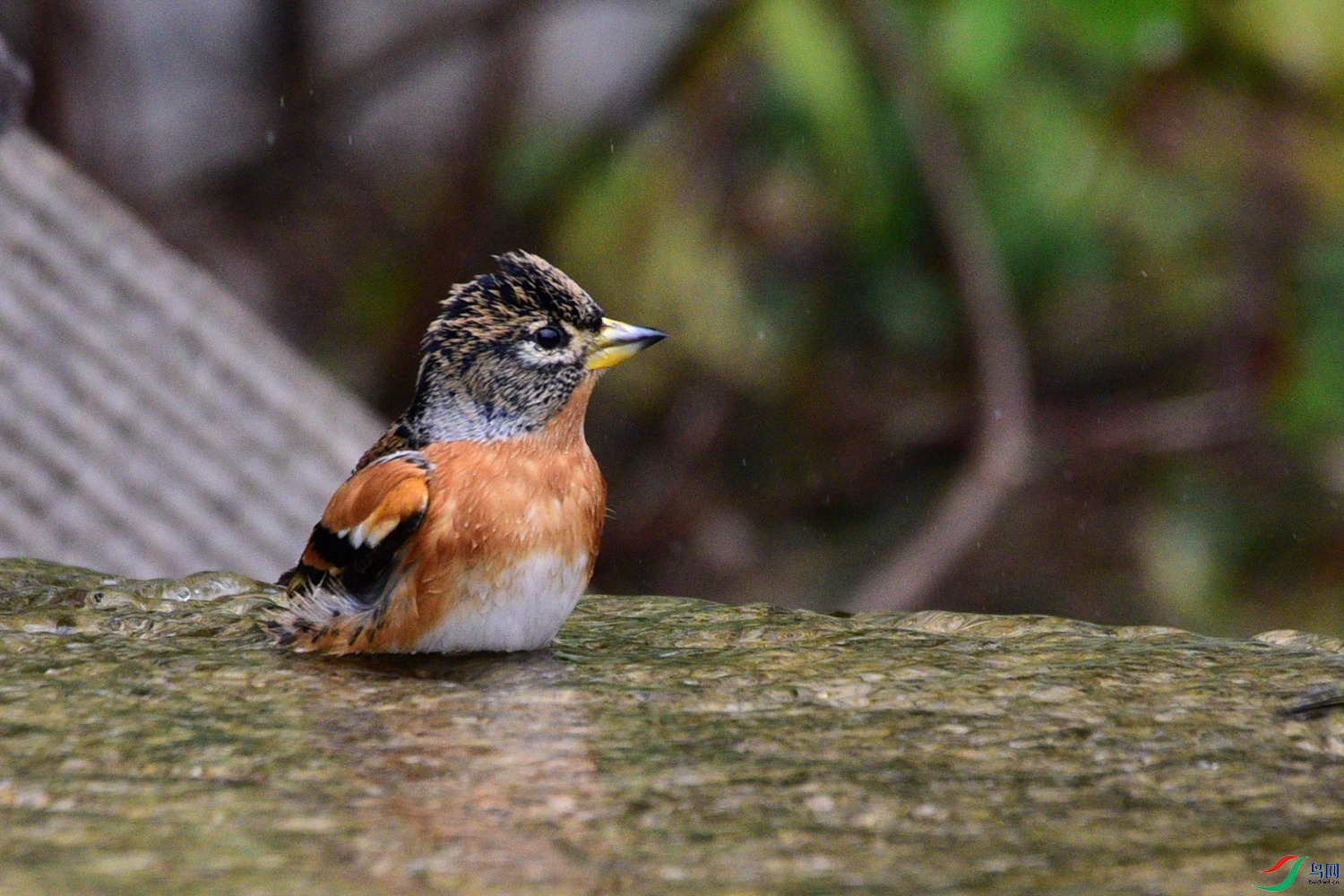 DSC_6891.JPG