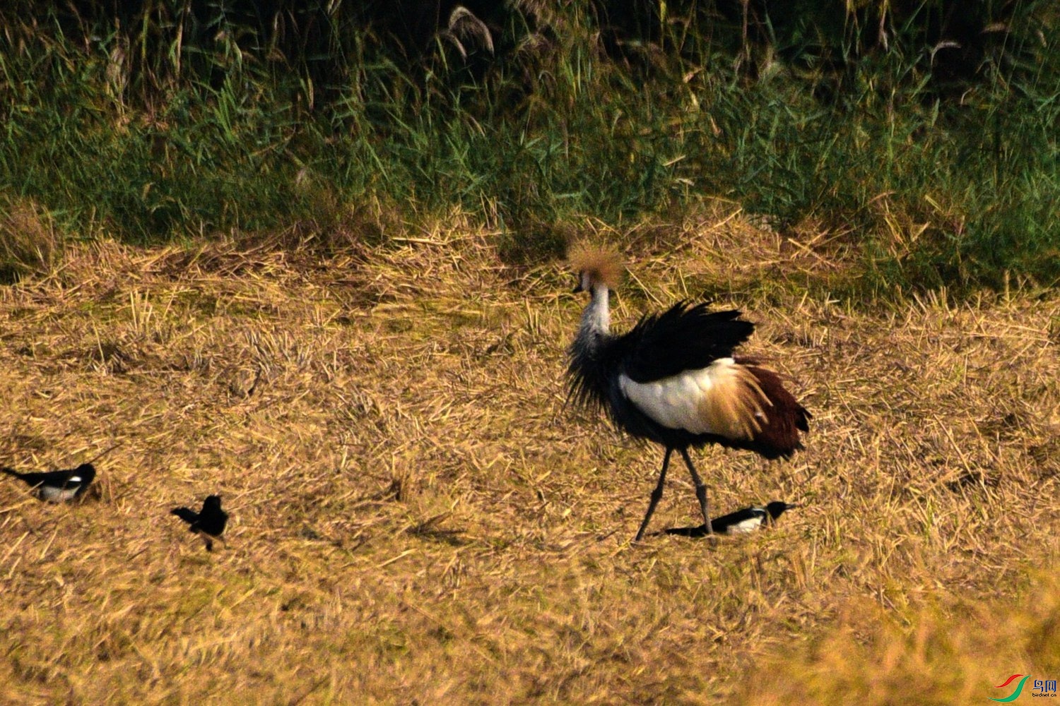 DSC_7340.JPG