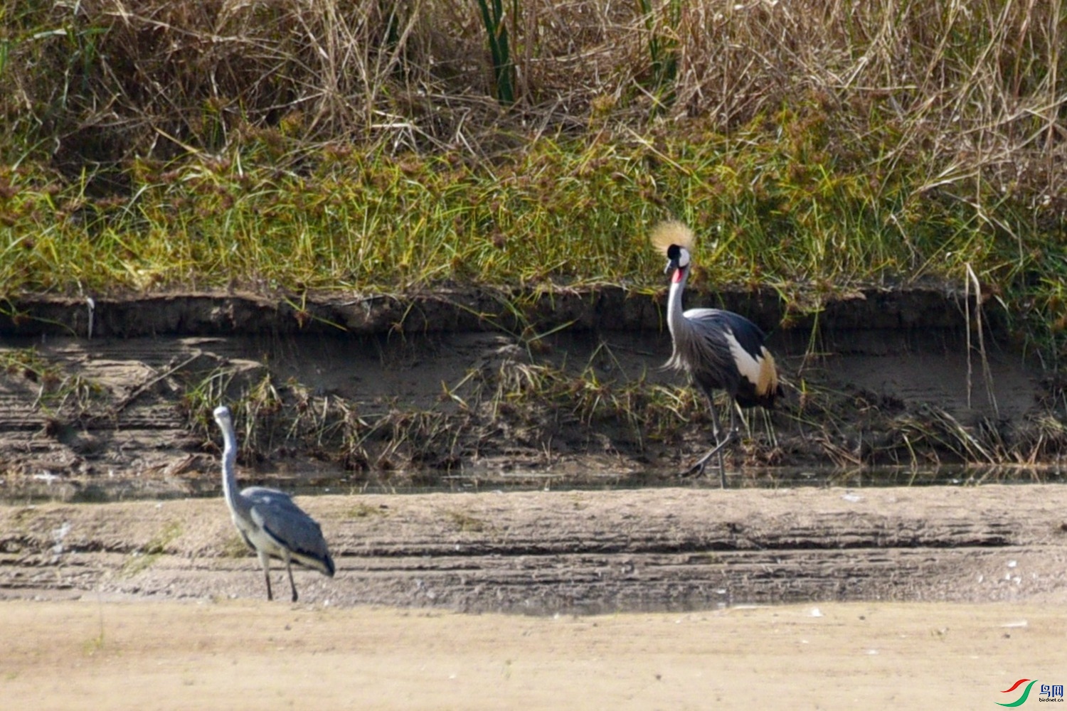 DSC_7578.JPG