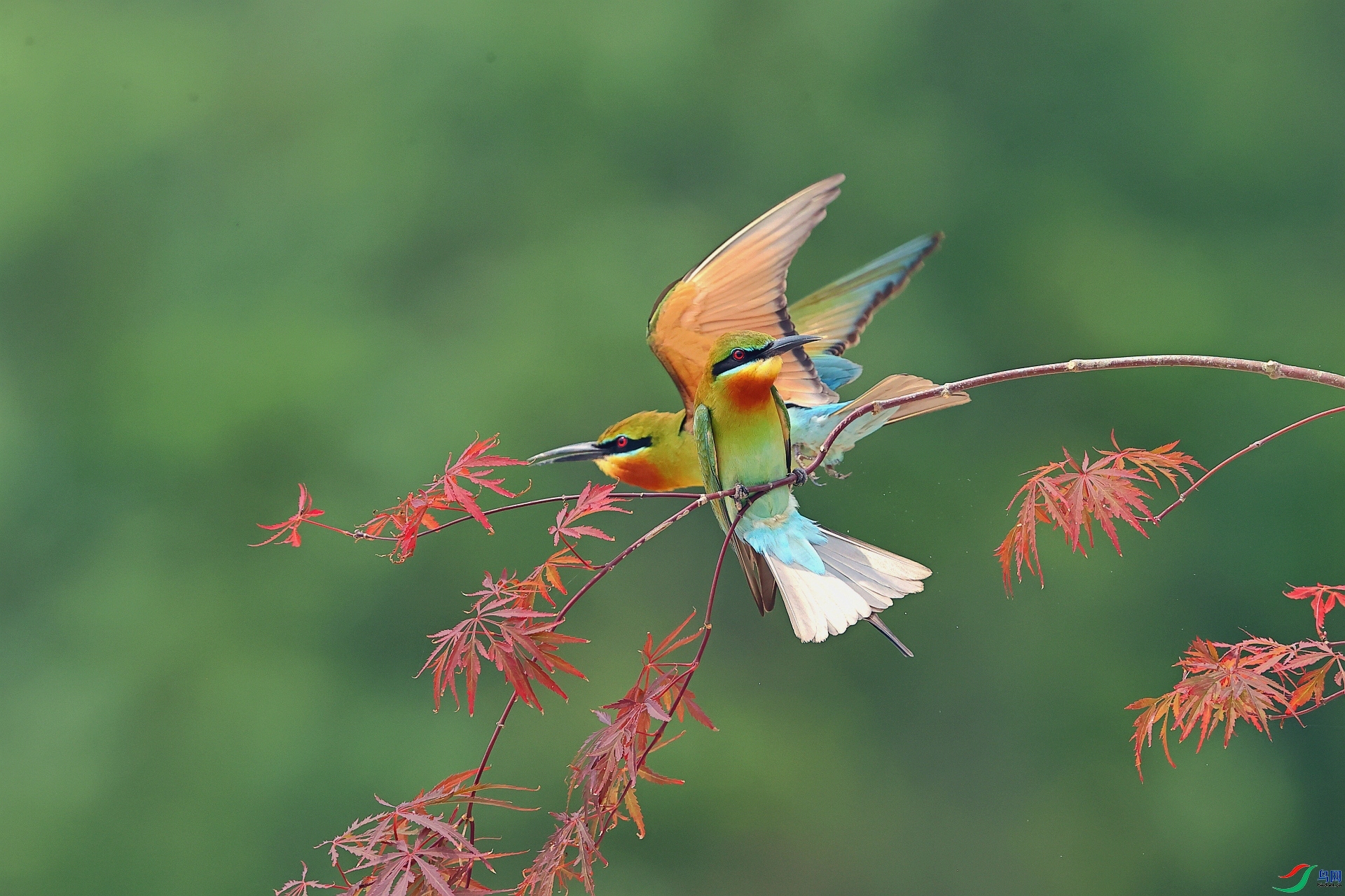 �����仢 ���� ��Ұ�Ÿ� ��һ.jpg