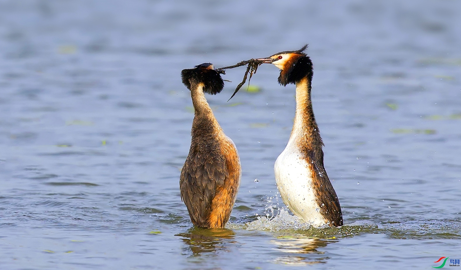 ź��˿�� ���� ��Х ��һ.jpg