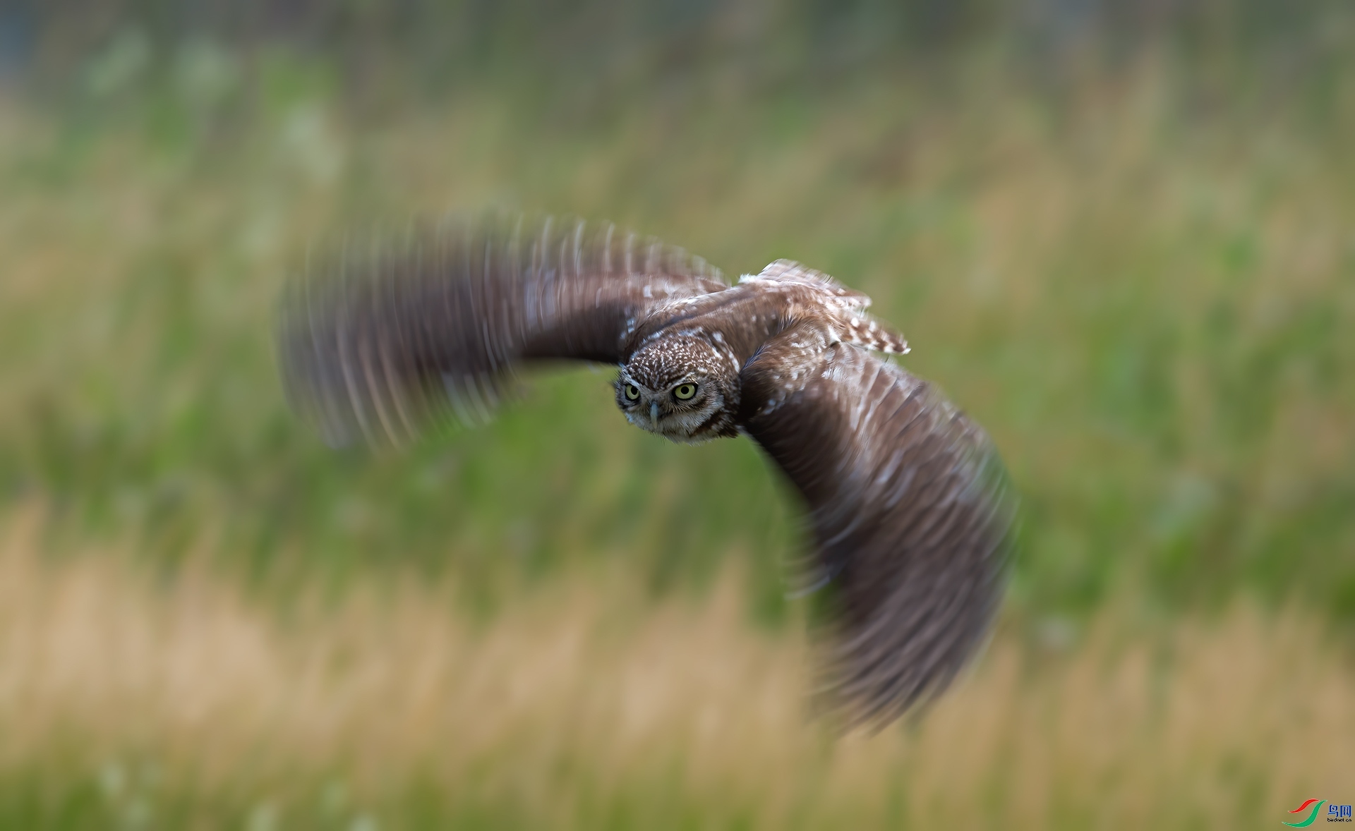 ���Ƹ�С�^ ���߽������� ��һ.jpg