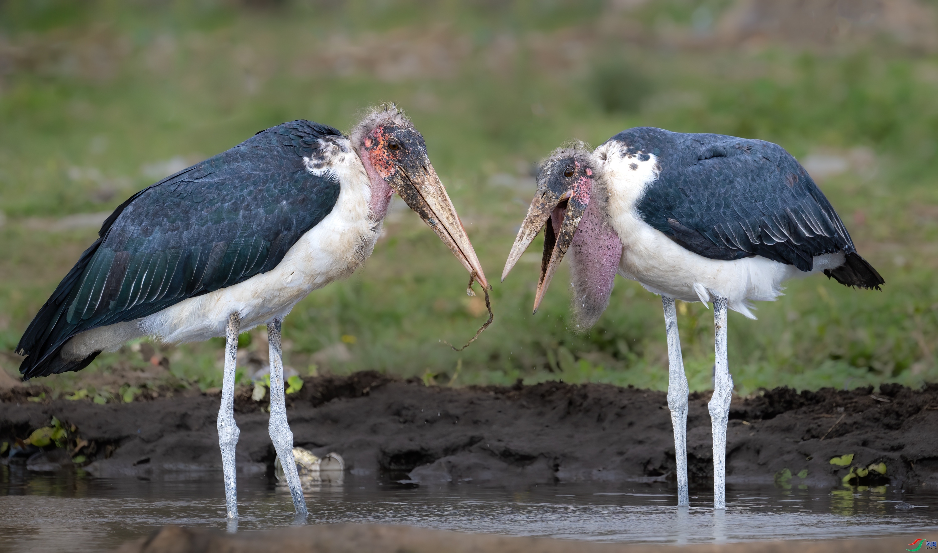 �d�� ���� ��Ͽ֮�� ��һ.jpg